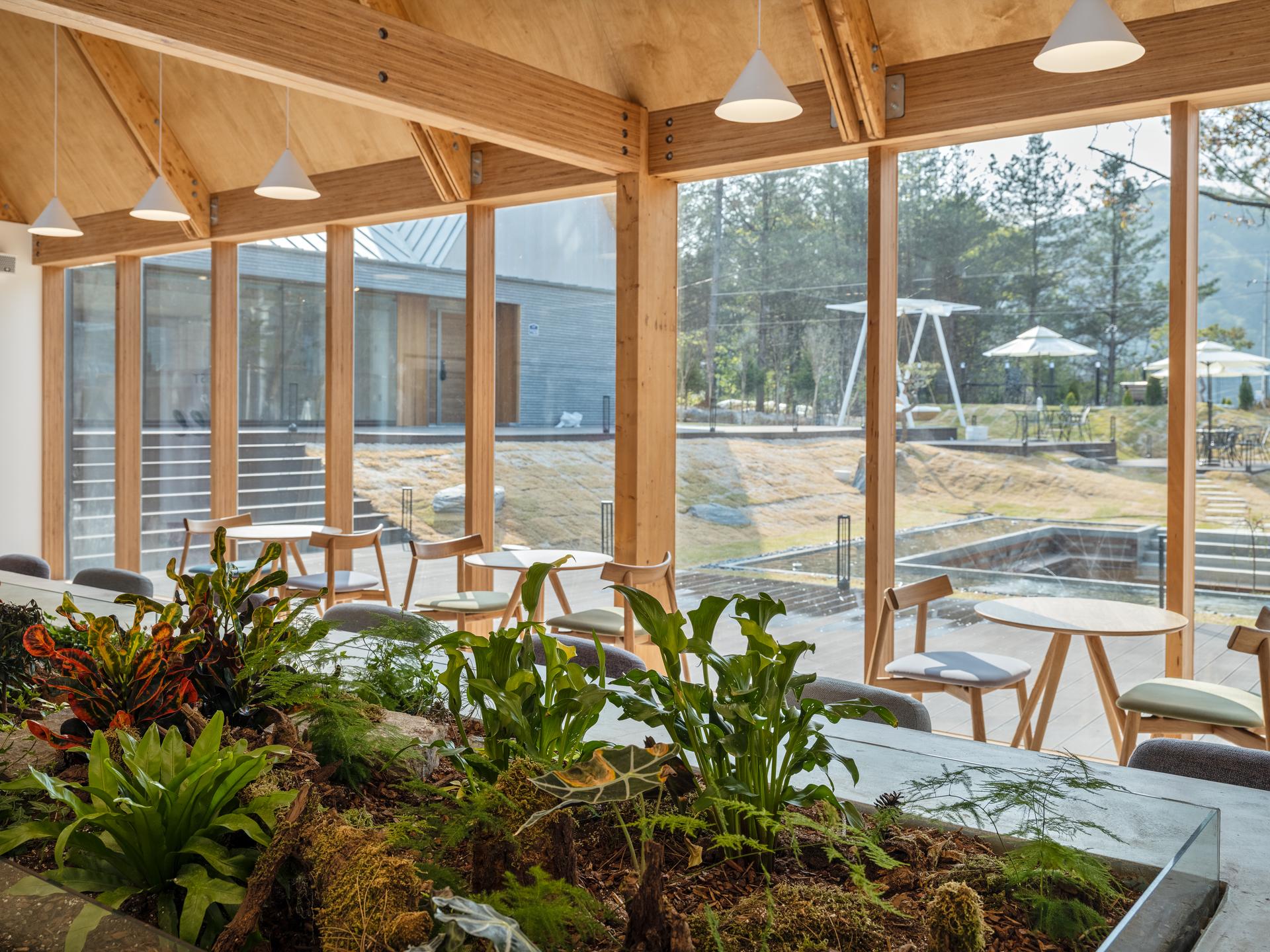 Forest Edge - image 15