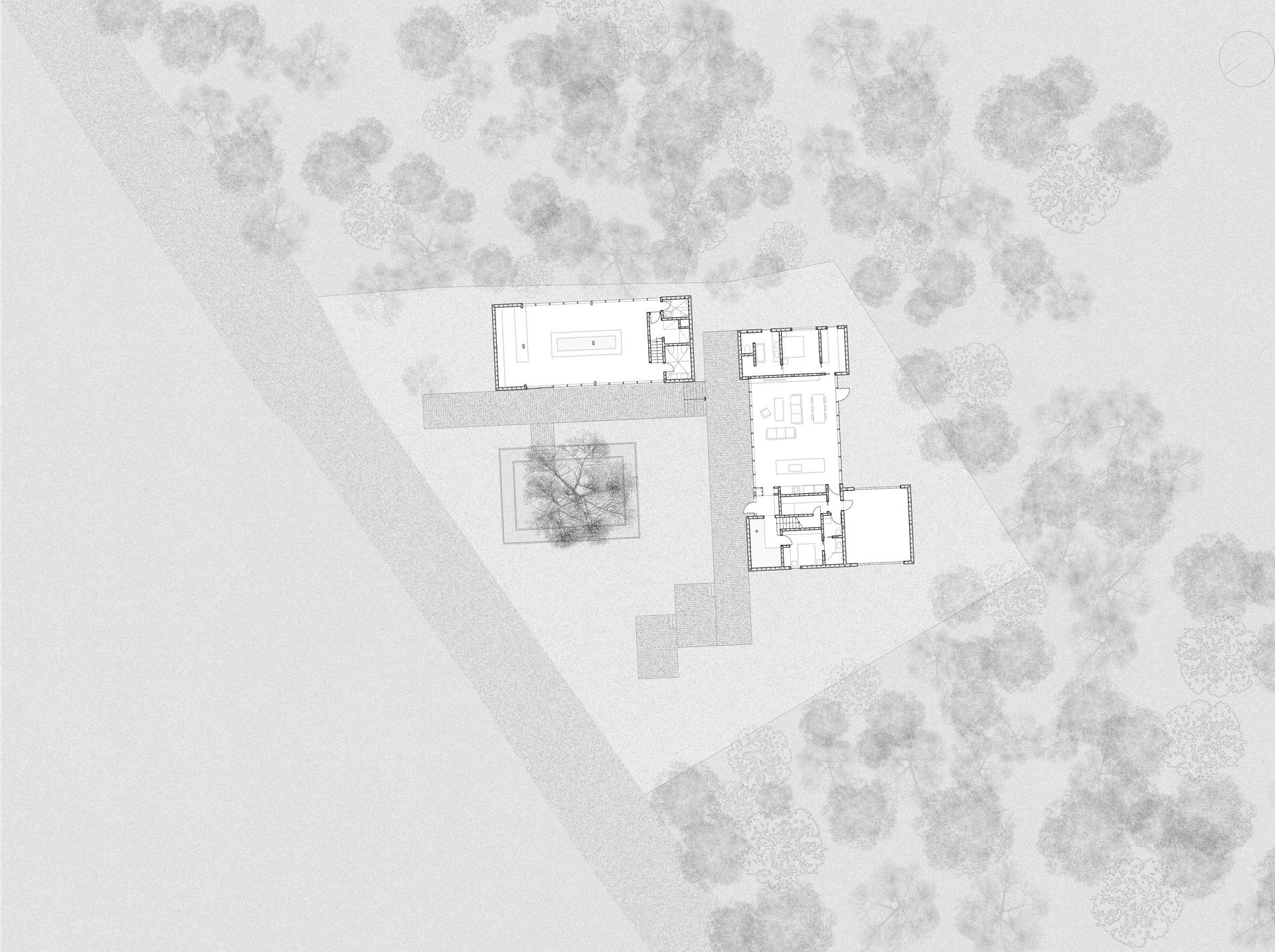 Forest Edge - image 7