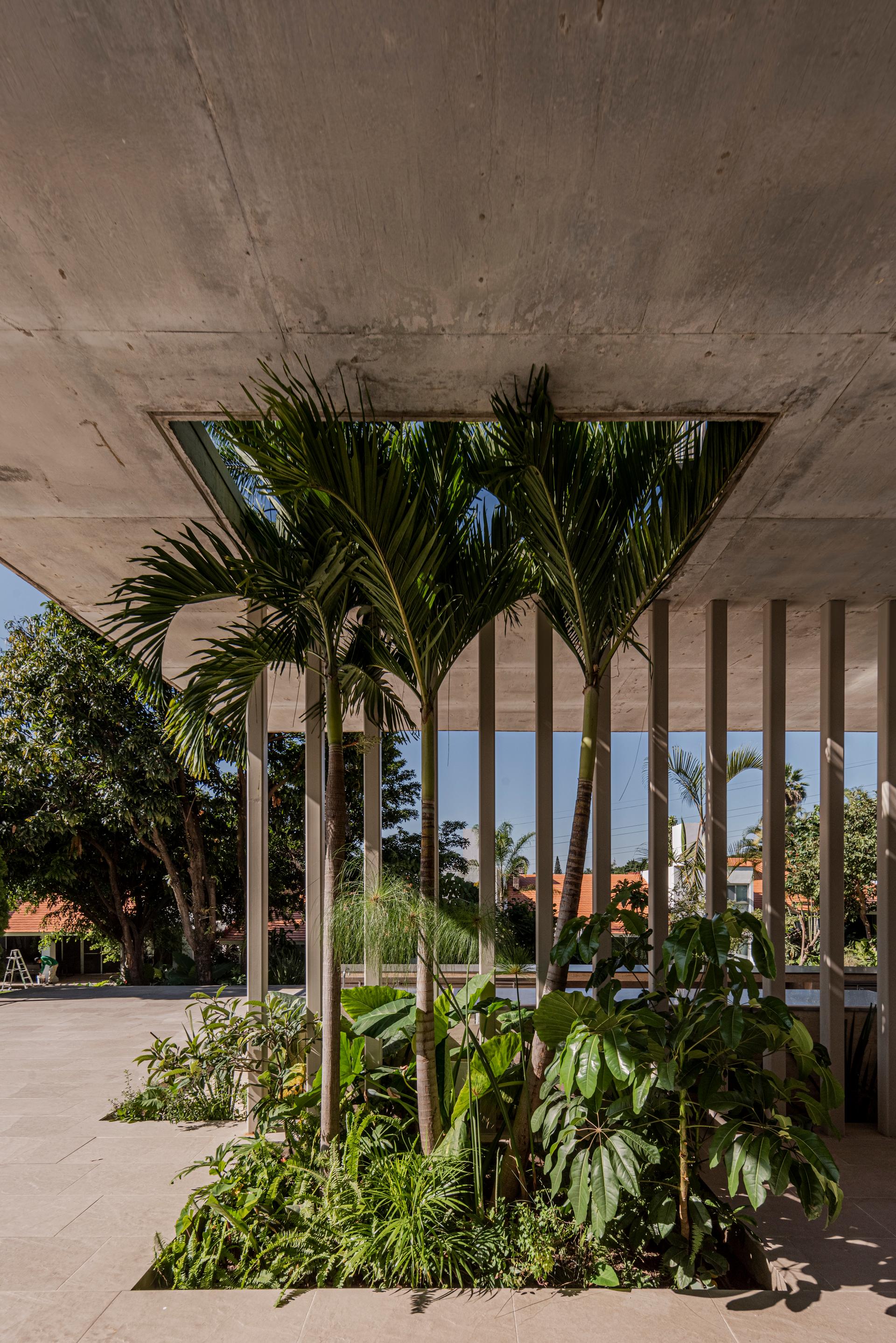 QUINTAS - image 7