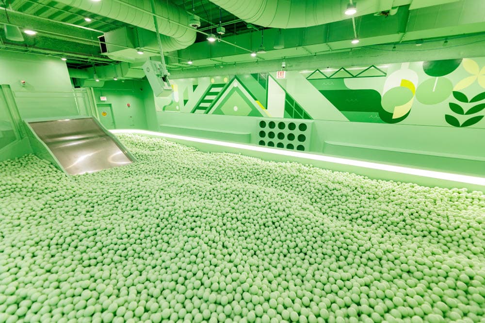 Color Factory - image 4
