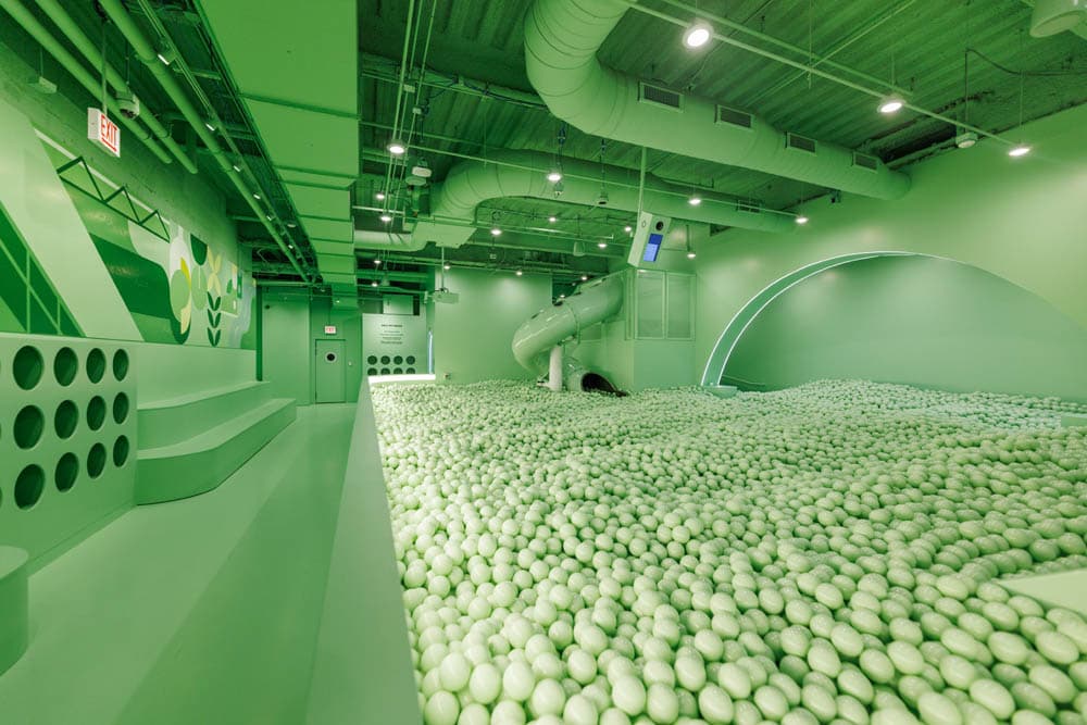 Color Factory - image 9