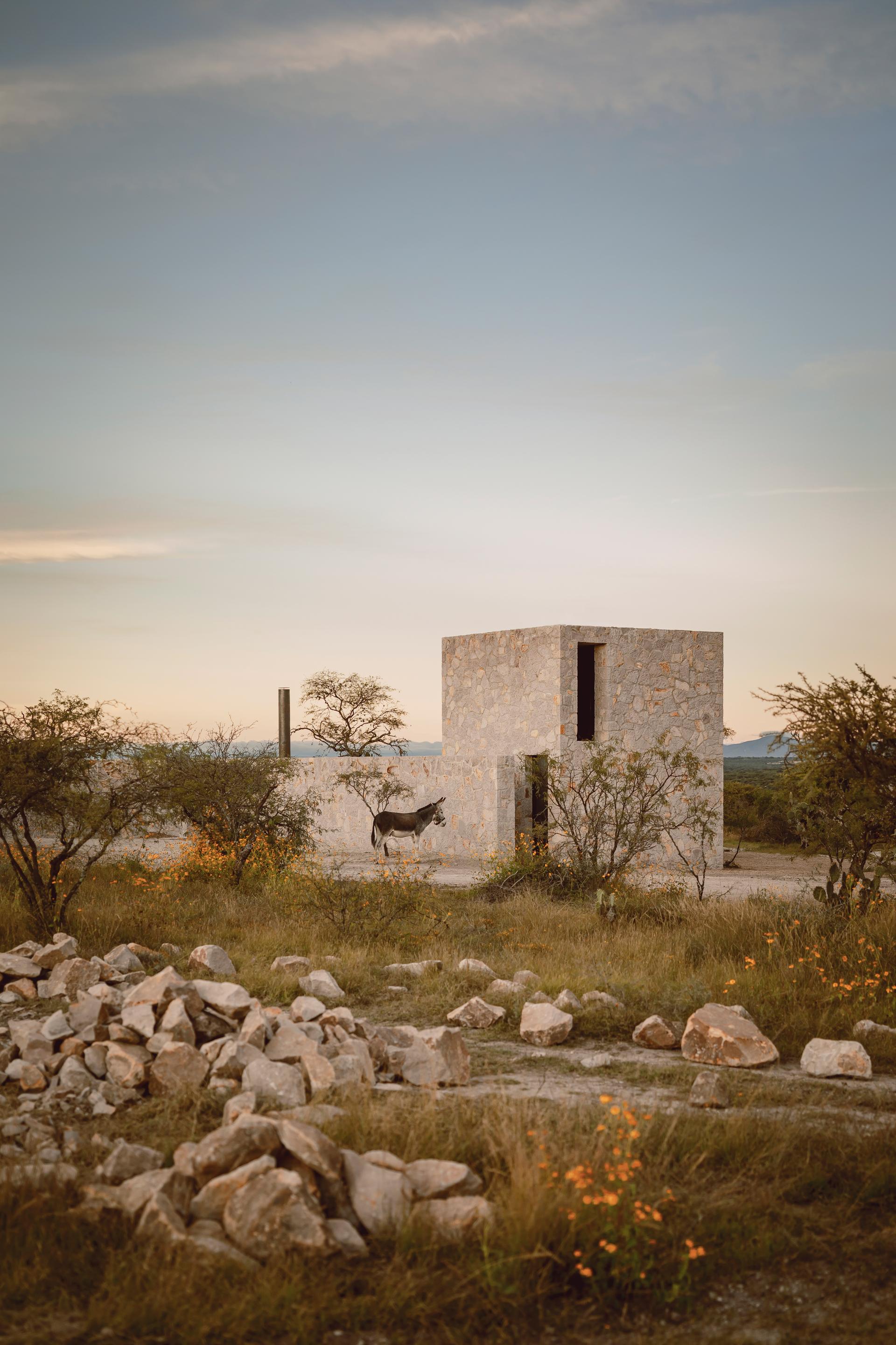 Enso House II - image 7