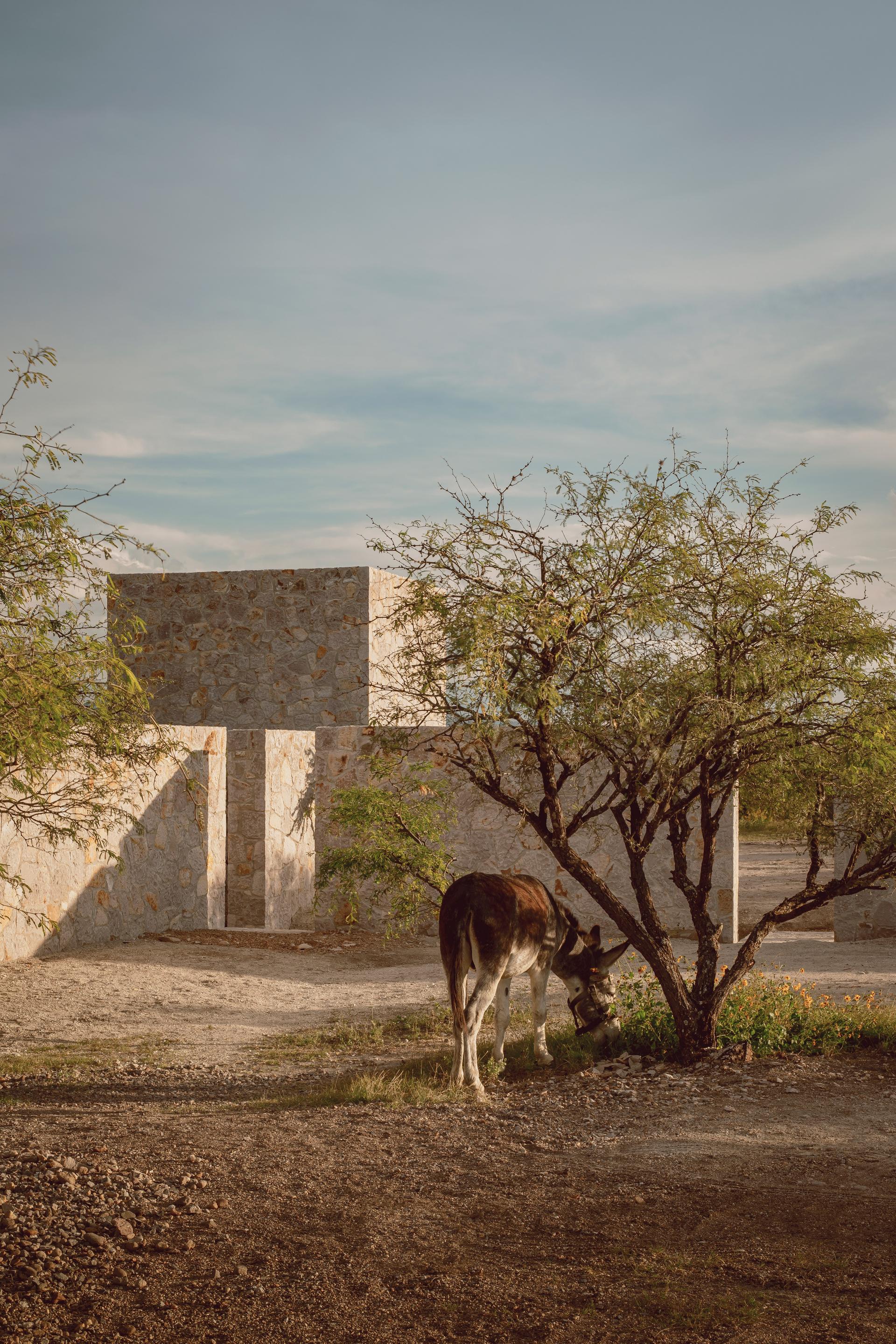 Enso House II - image 13
