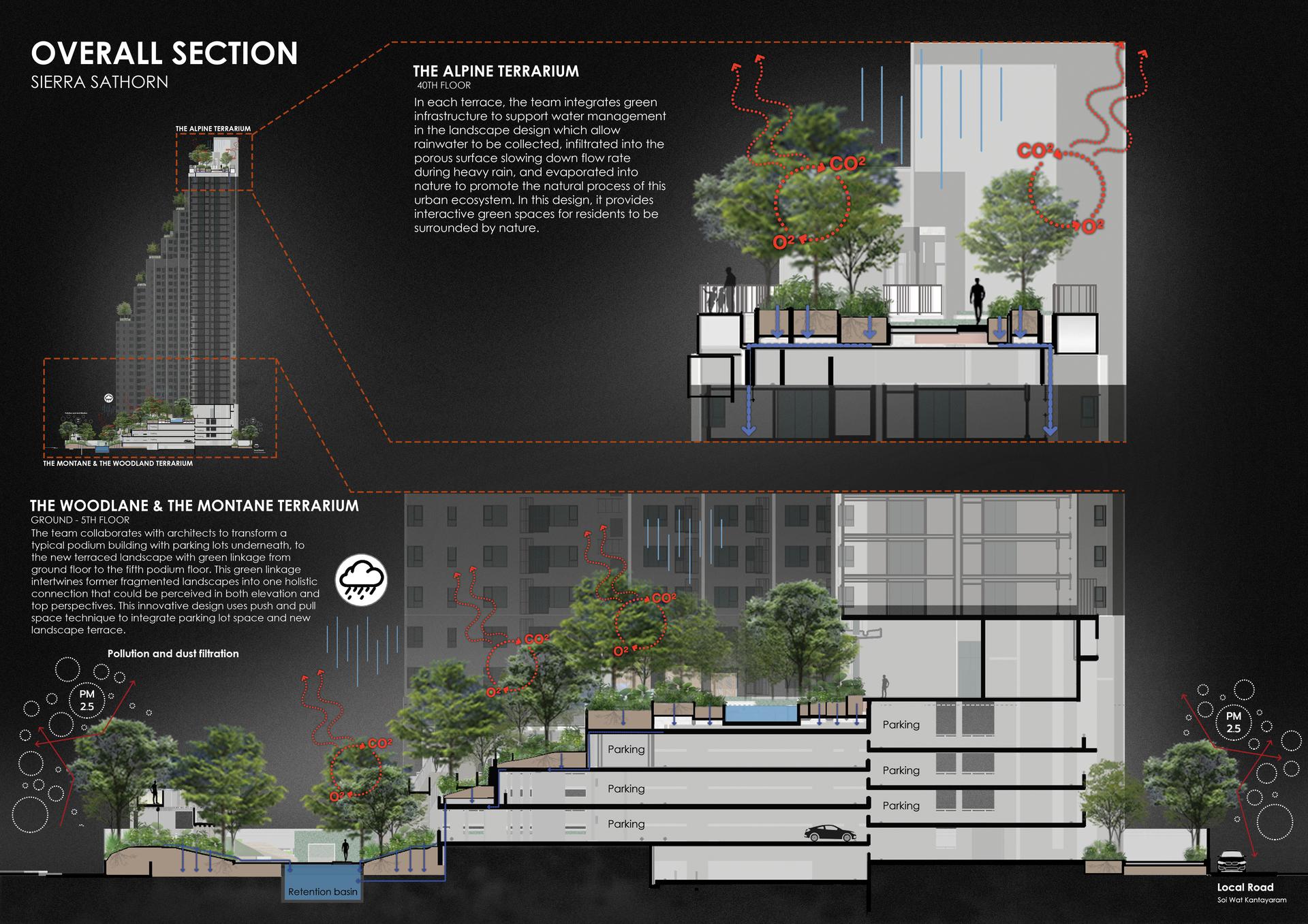 SIERRA SATHORN - image 7