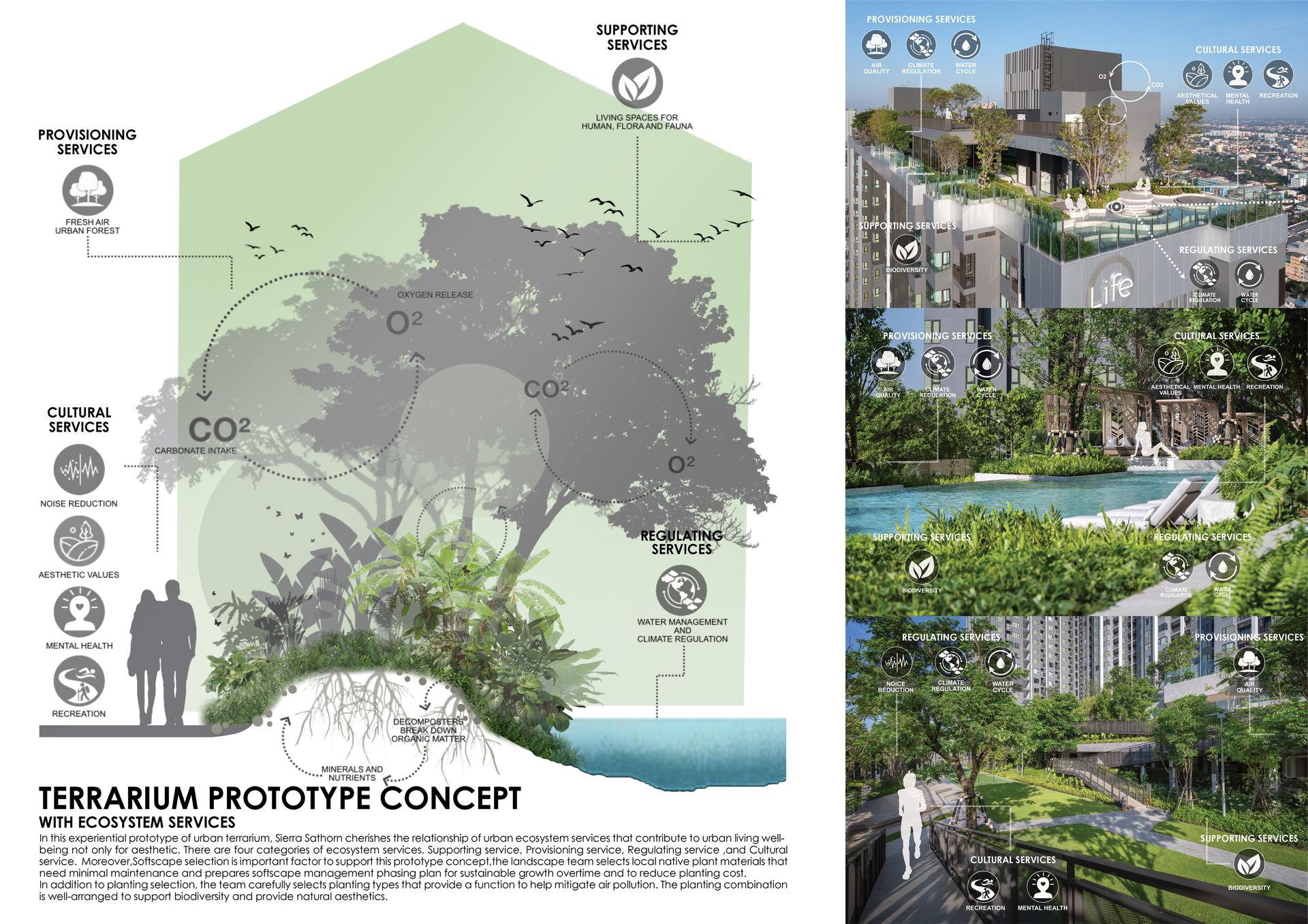 SIERRA SATHORN - image 13