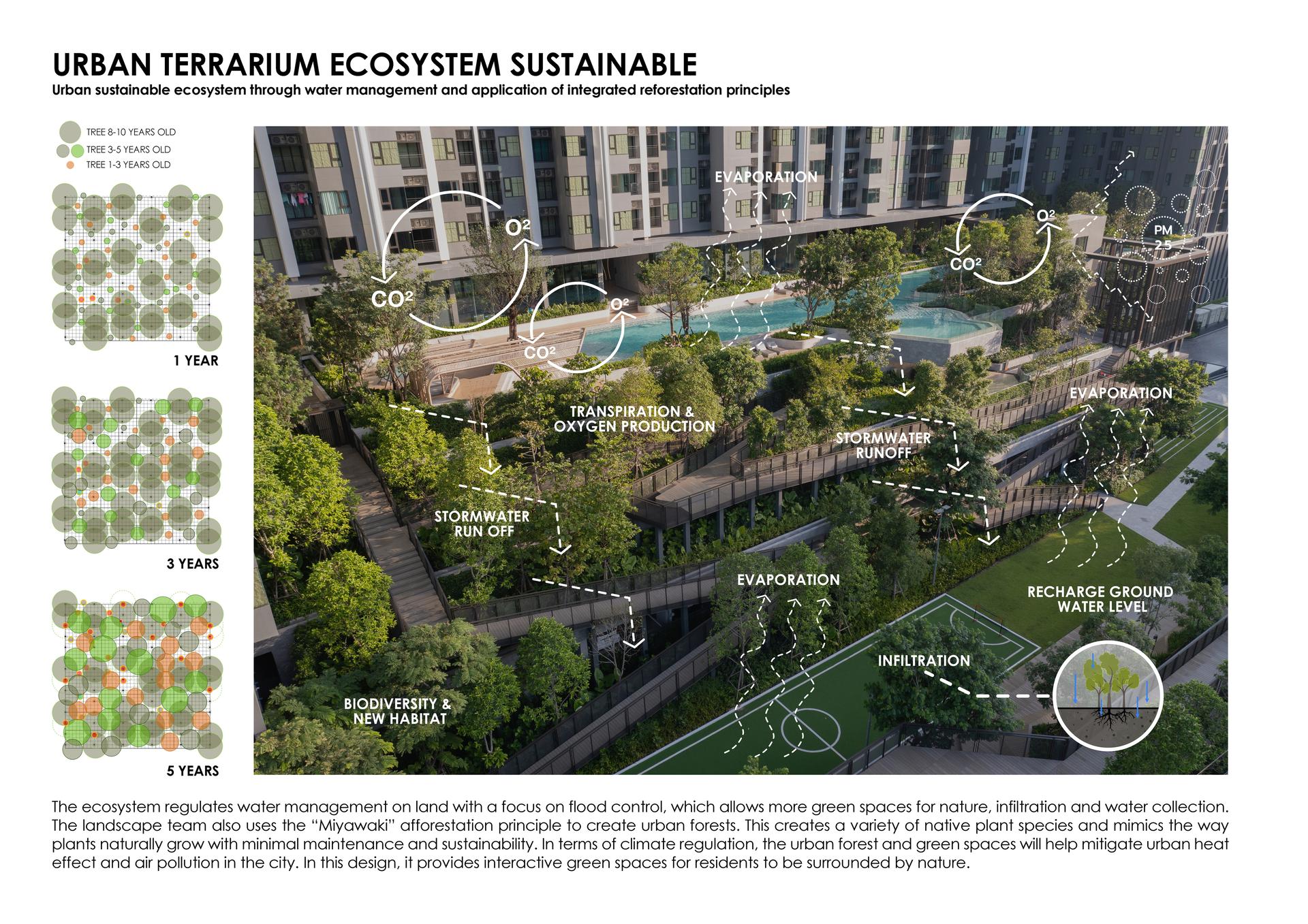 SIERRA SATHORN - image 18
