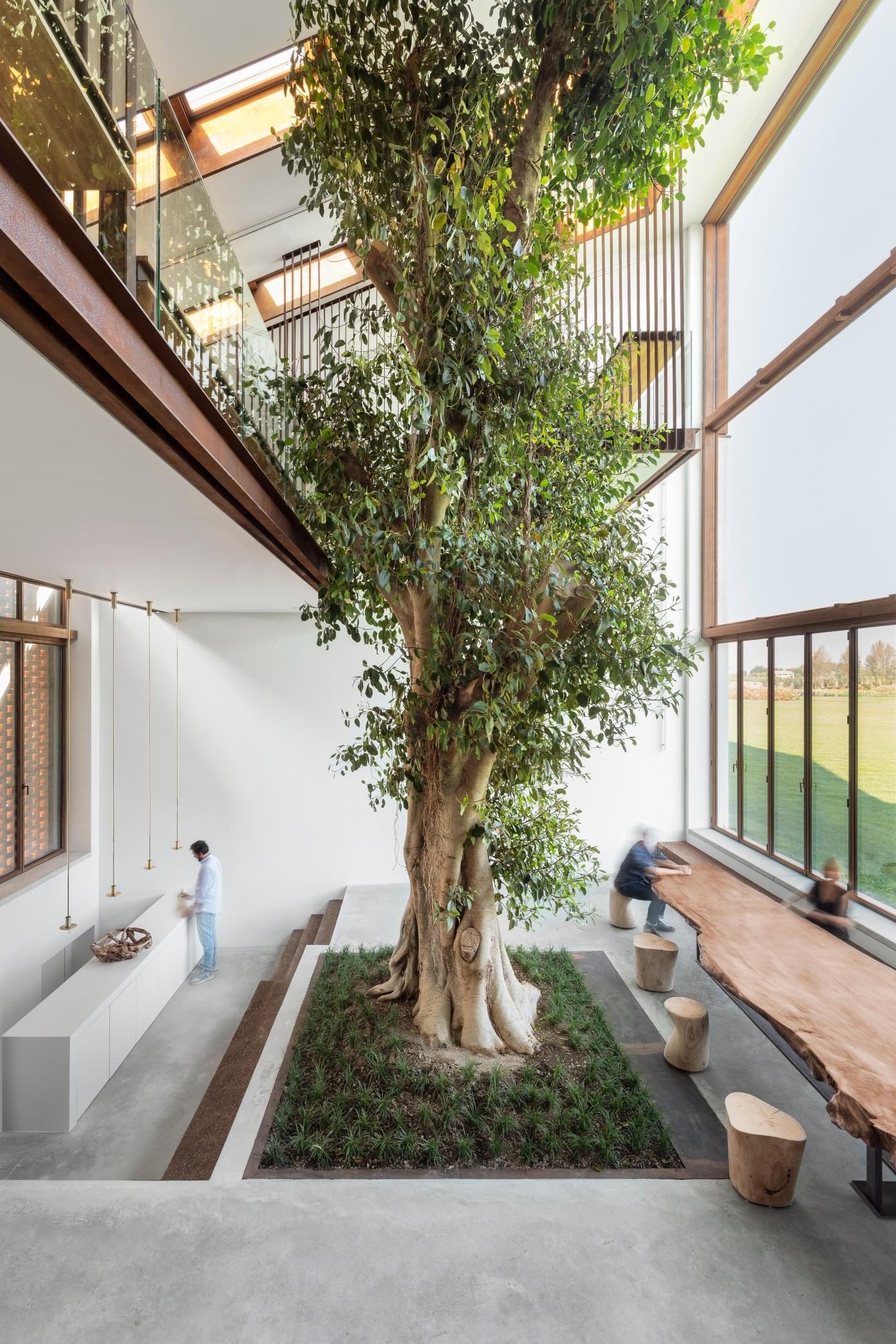 The Greenary - image 4