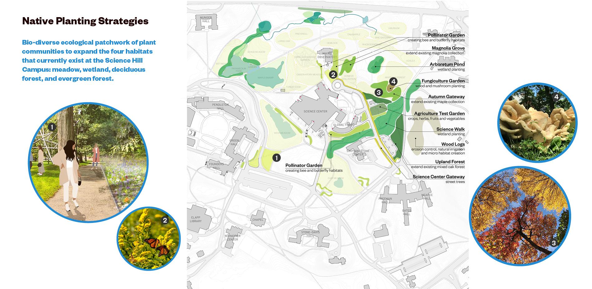 Wellesley Science Hill - image 12