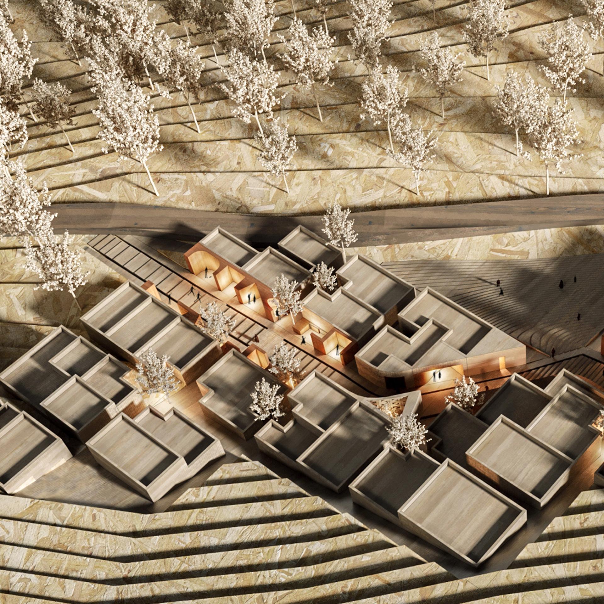 Vianeh - image 5