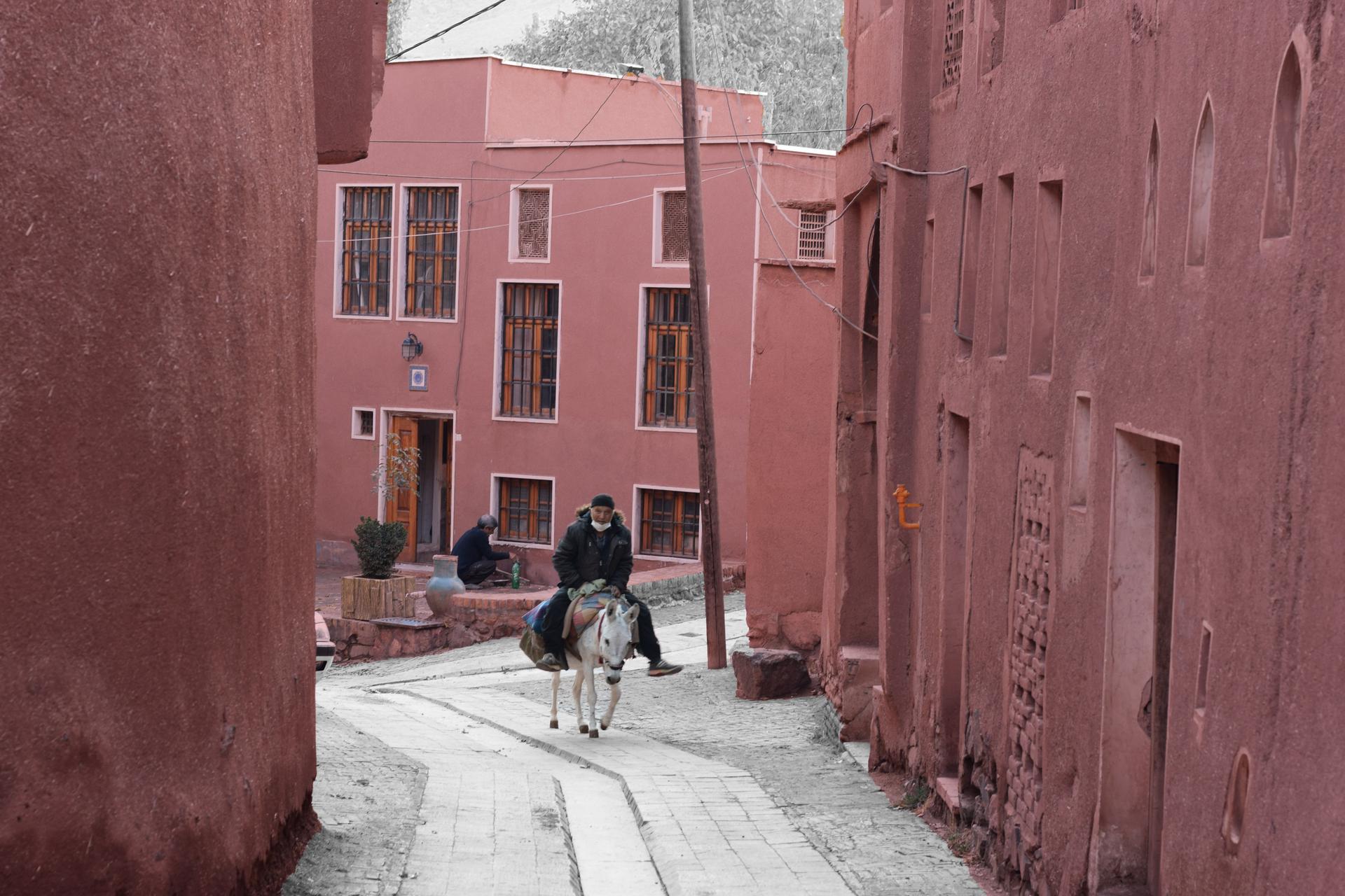 Vianeh - image 25