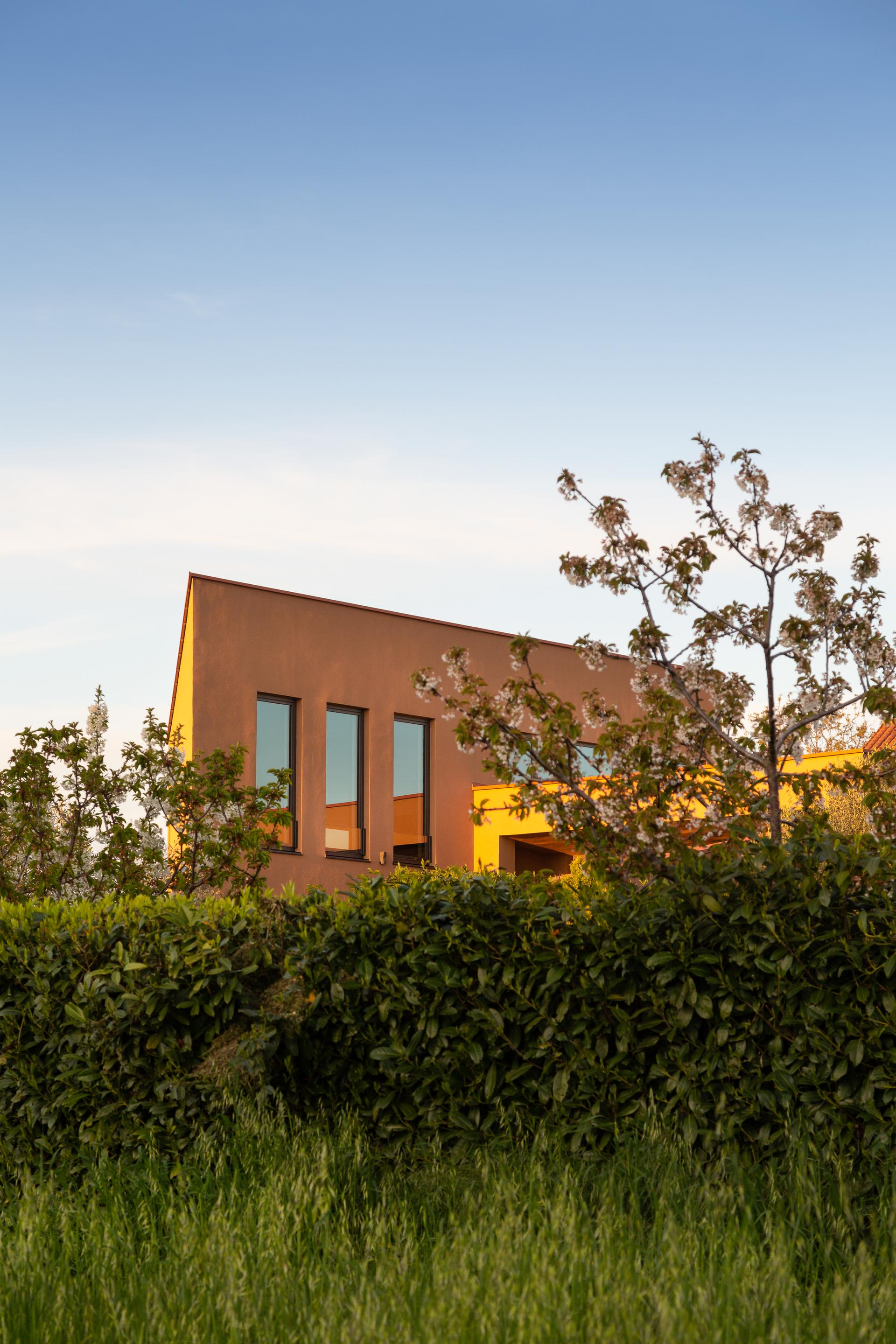 Red soil house - image 5