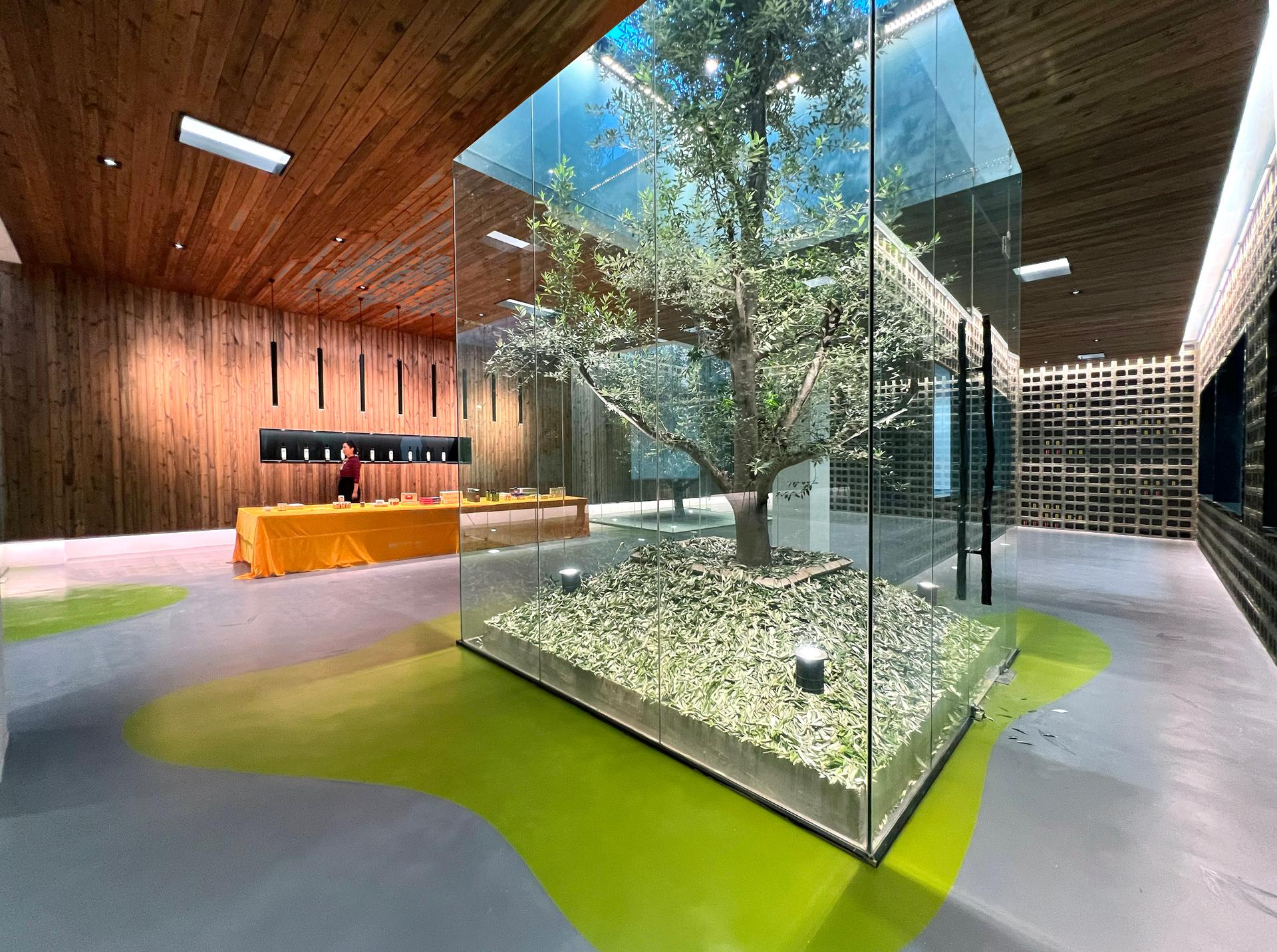 Lijiang olive oil factory - a journey between the form and formless - image 2