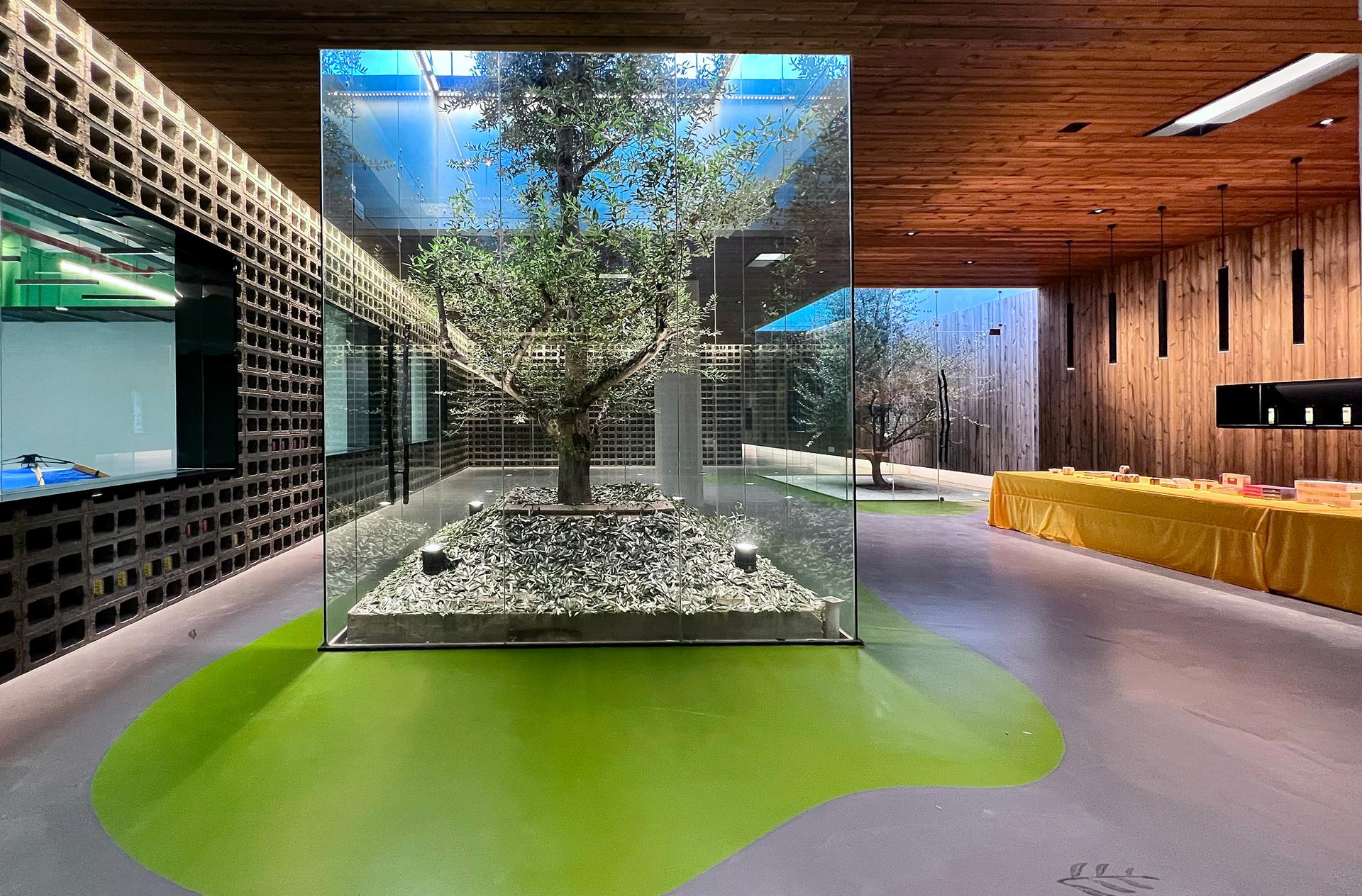 Lijiang olive oil factory - a journey between the form and formless - image 5