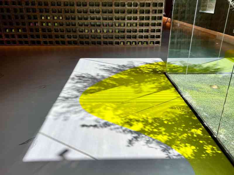 Lijiang olive oil factory - a journey between the form and formless - image 12