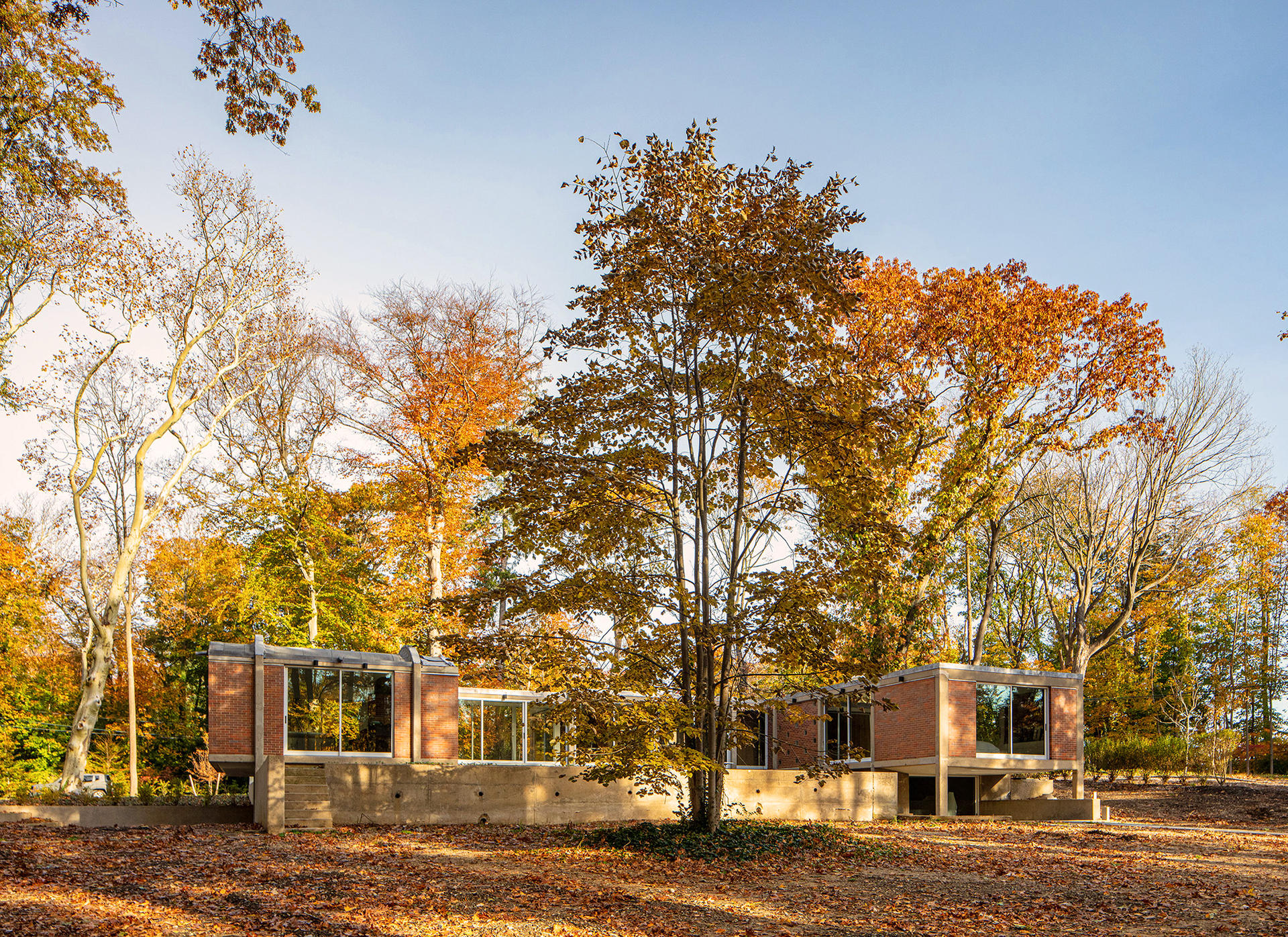 Linden House - image 4