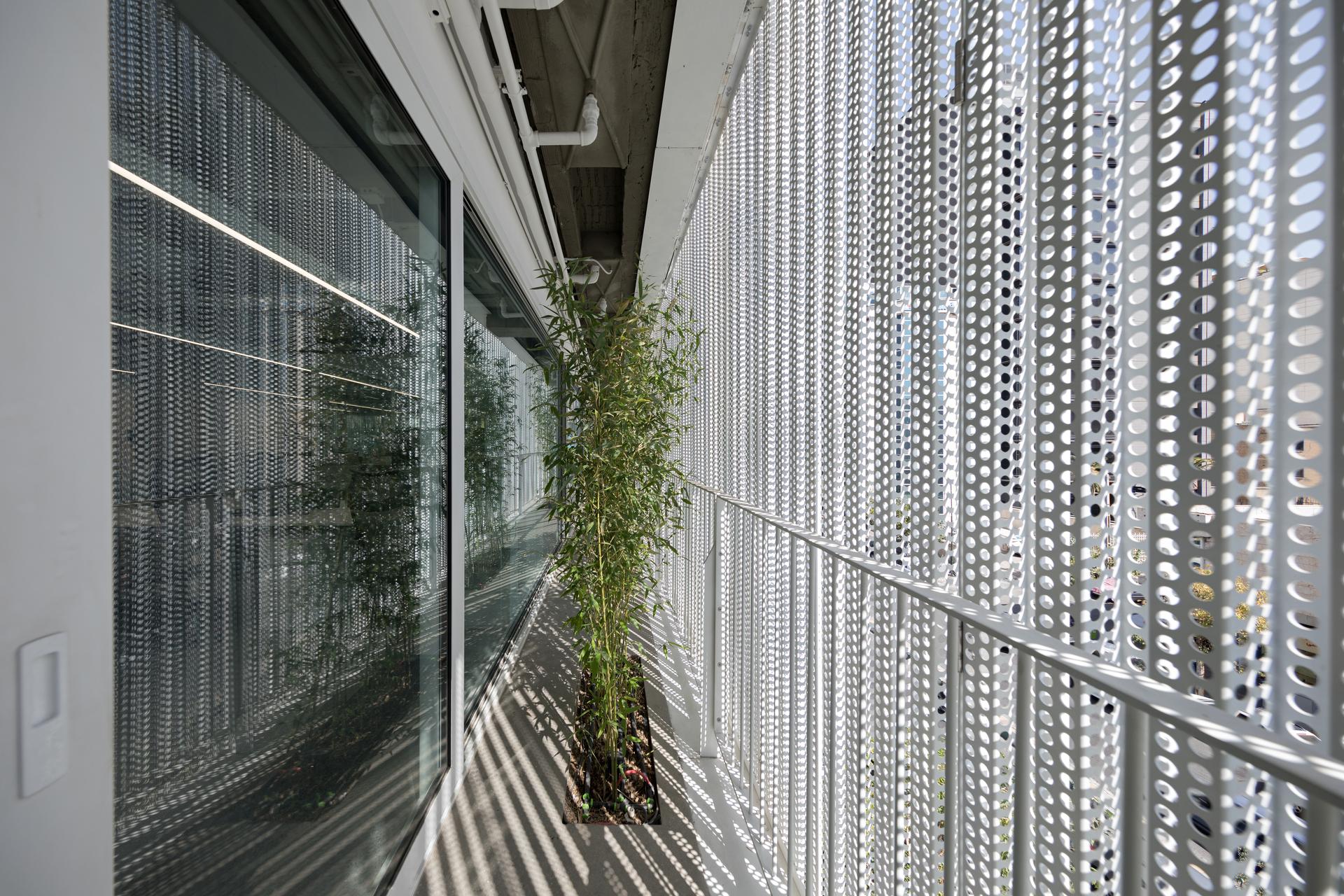 the white Renovation - image 11