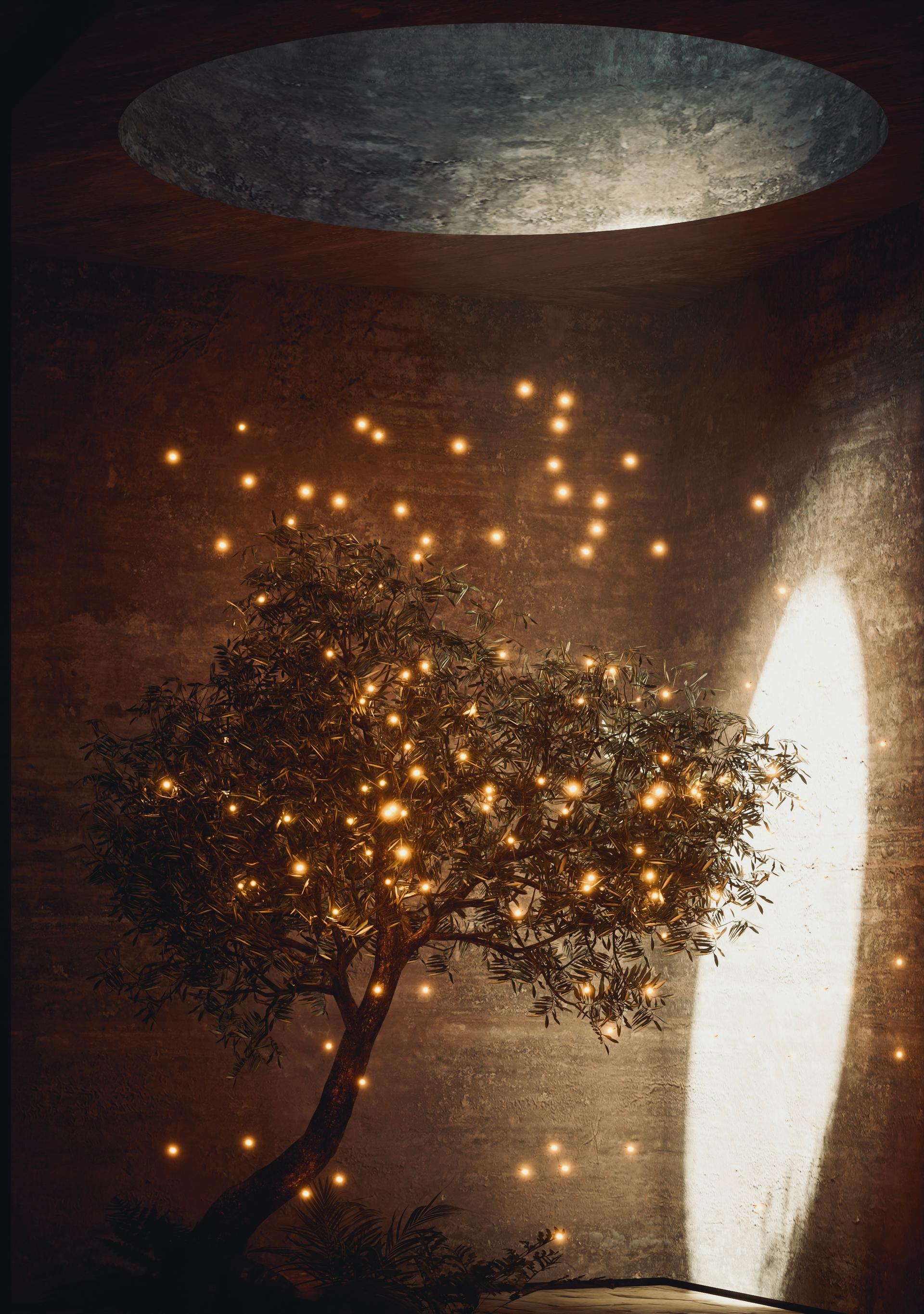 Digging the Light (Qanat Villa) - image 20
