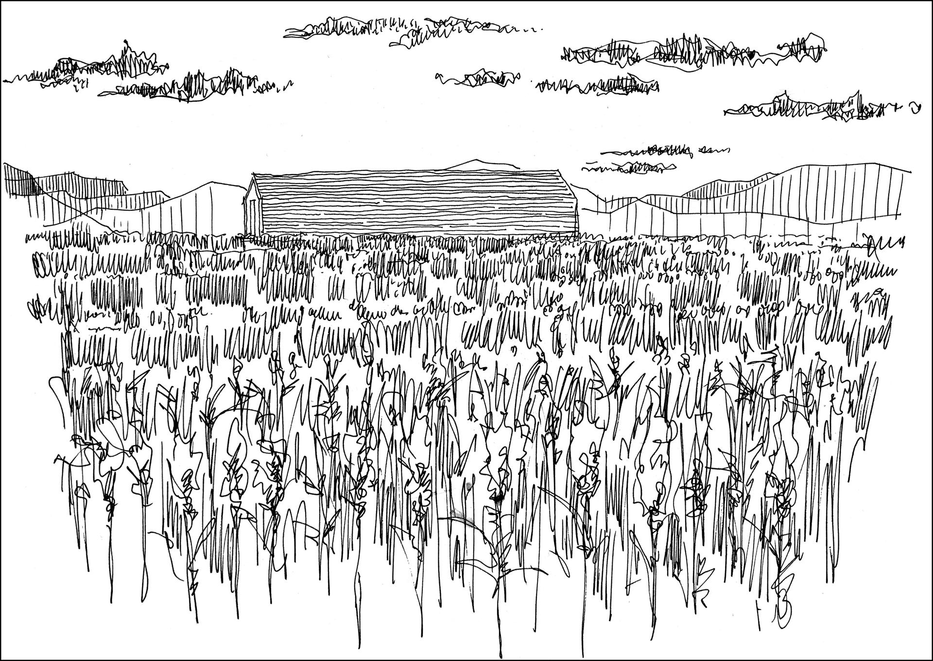 Joybo Farm - image 23
