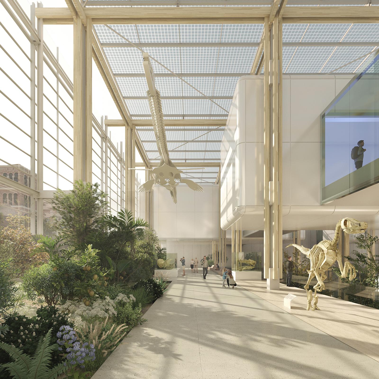 Science Forest - image 6
