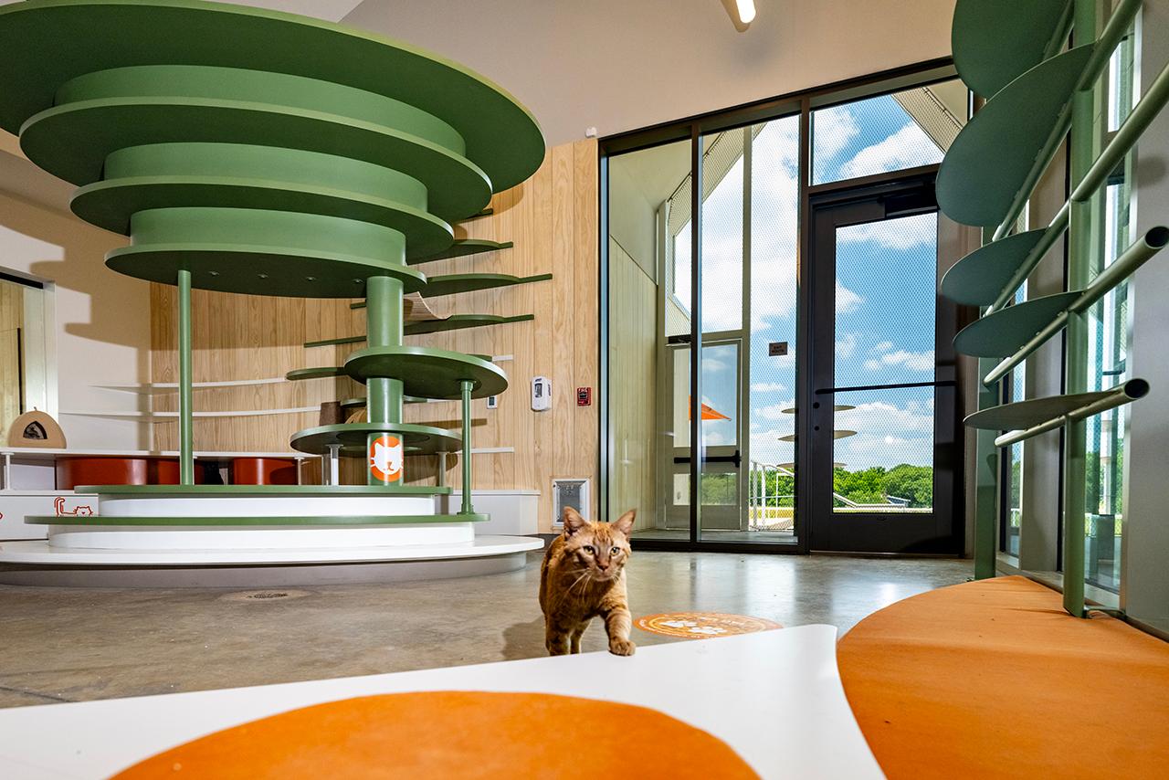 Pet Resource Center - image 6