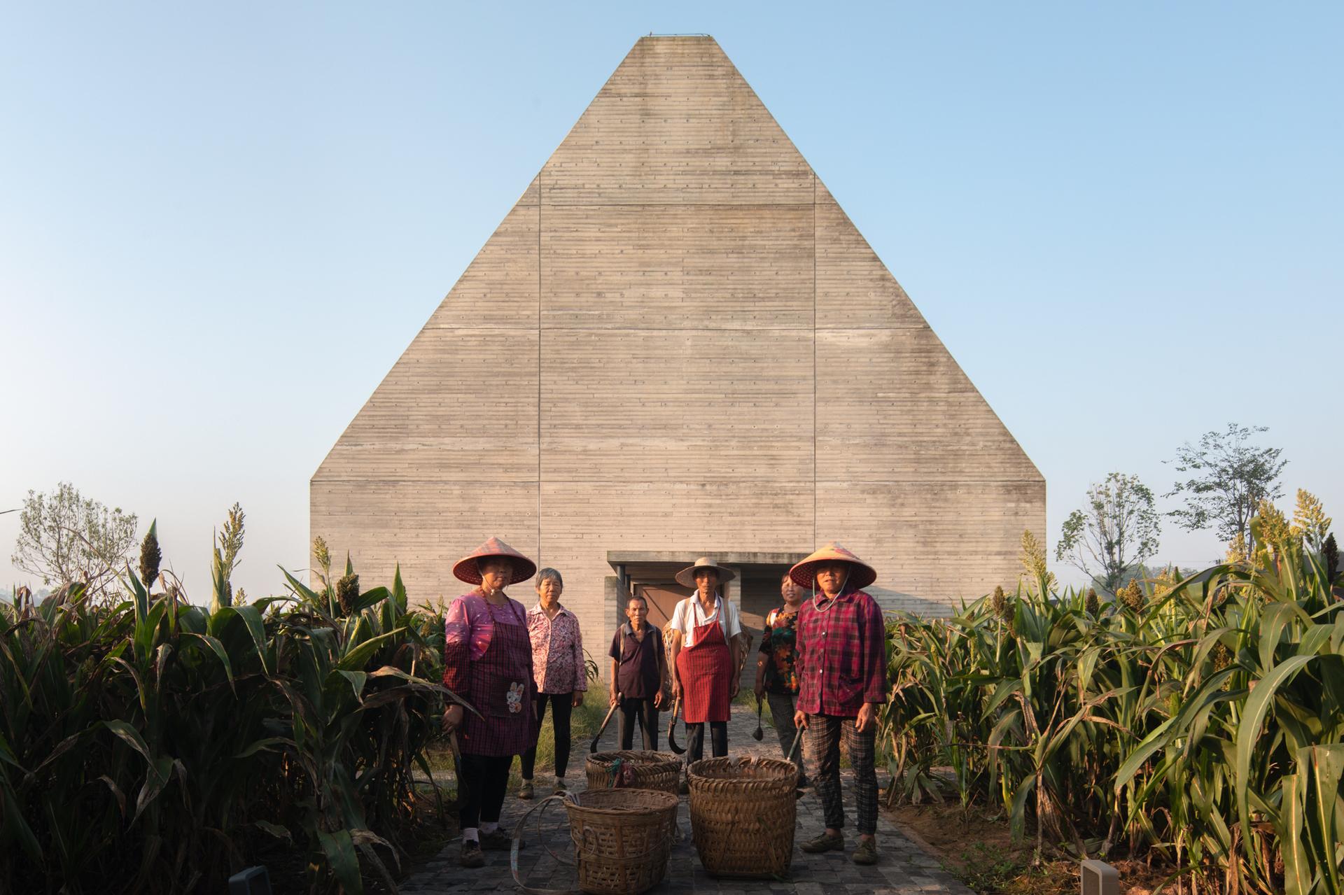 Joybo Farm - image 3