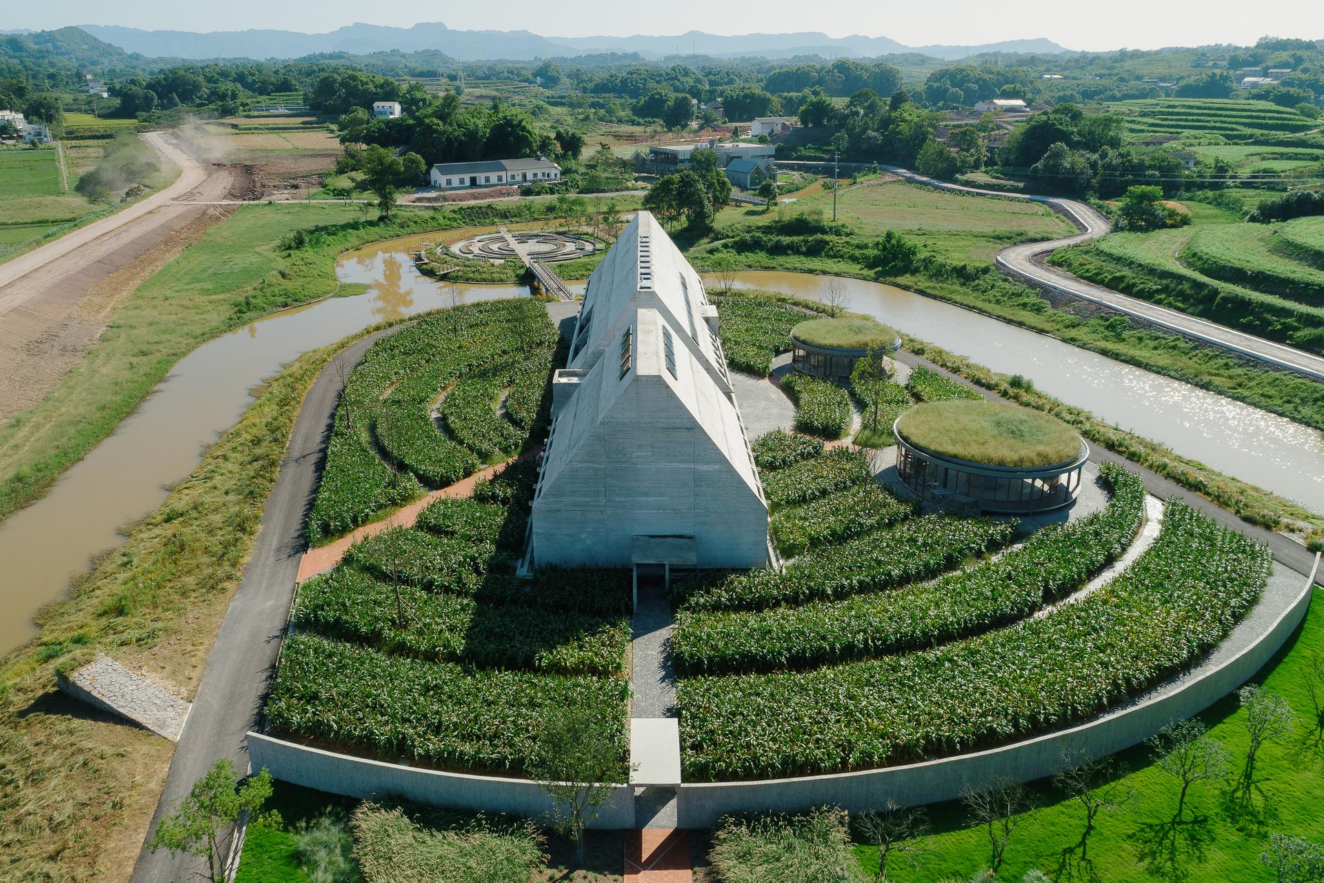 Joybo Farm - image 6