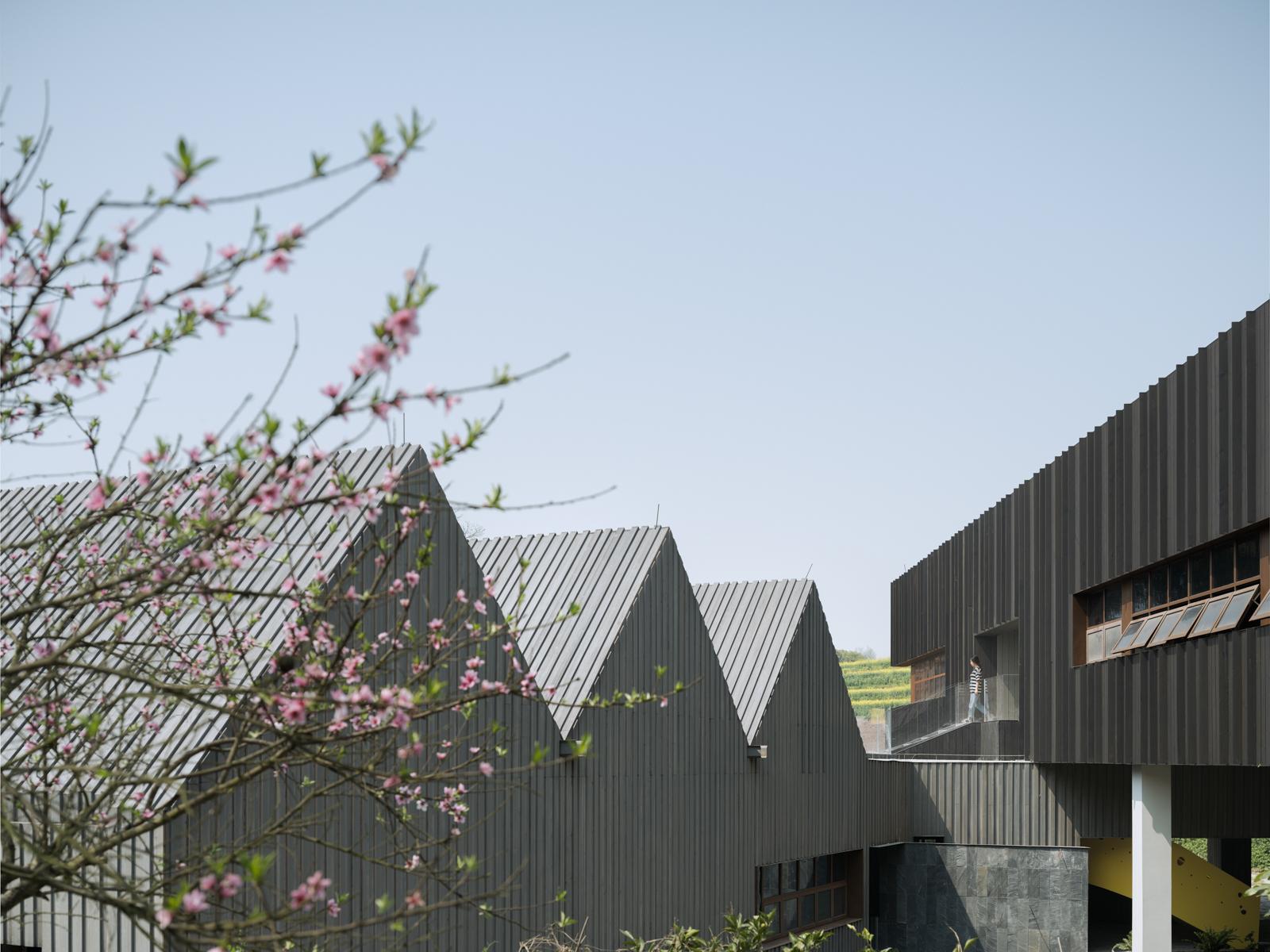 Joybo Farm - image 12