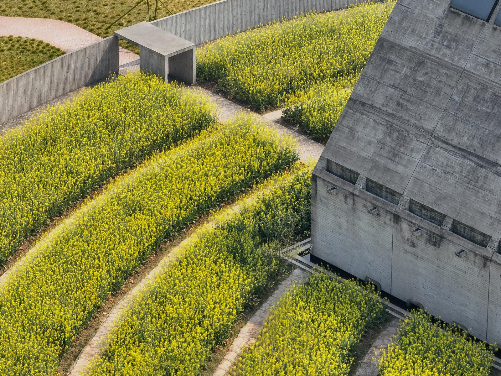 Joybo Farm - image 7