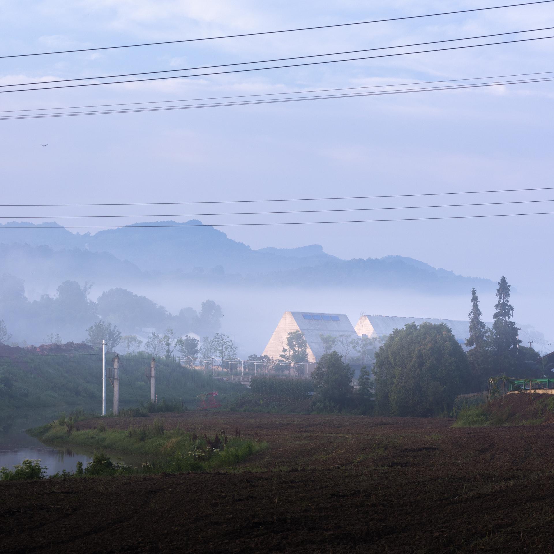 Joybo Farm - image 2