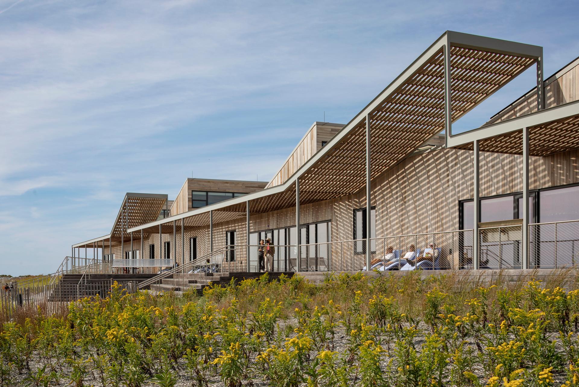 Jones Beach Energy and Nature Center - image 11