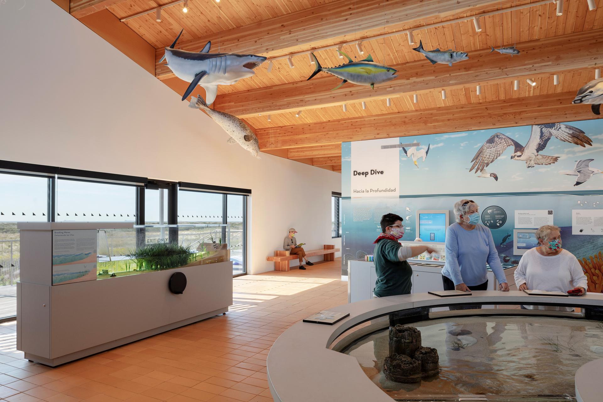 Jones Beach Energy and Nature Center - image 9