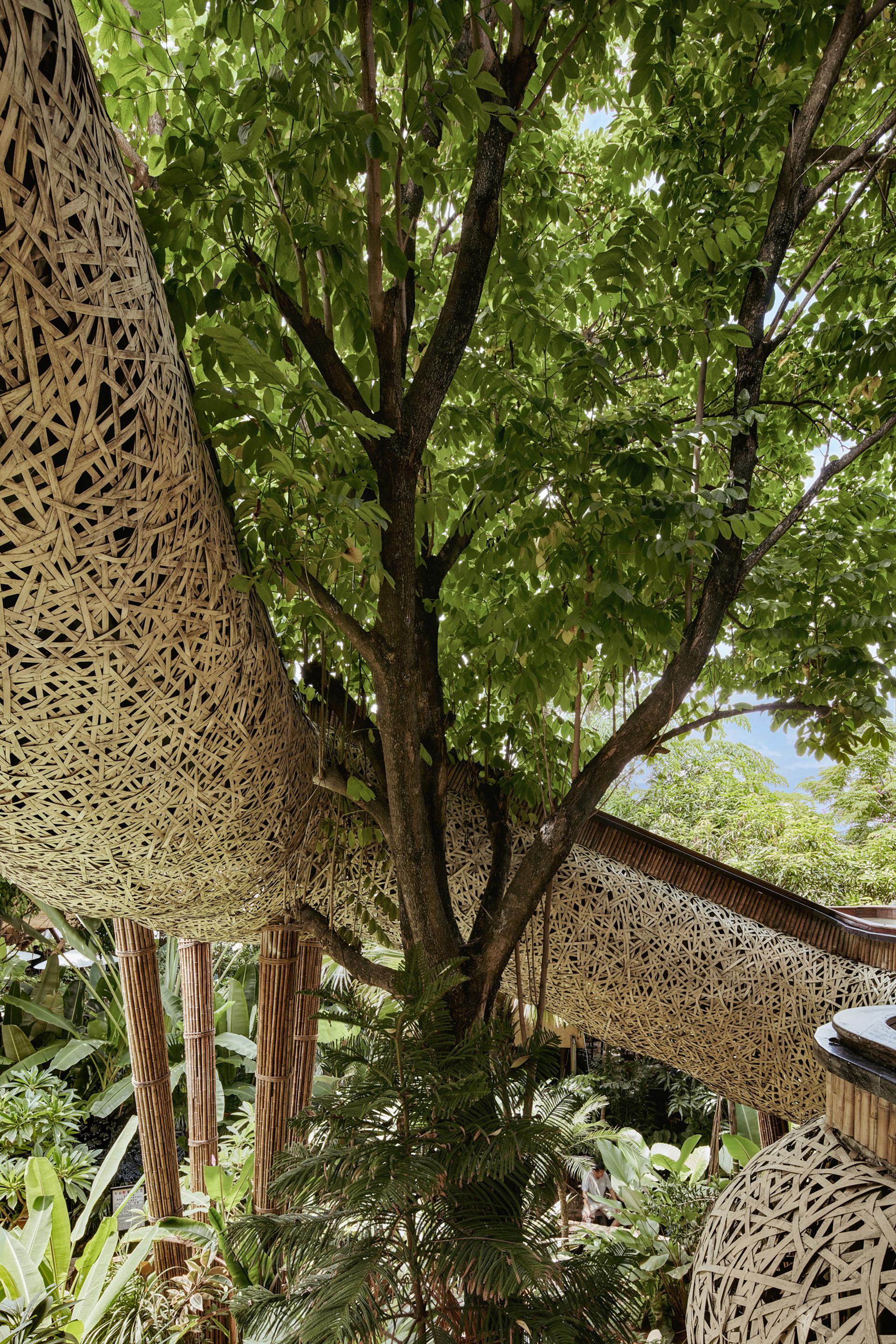 Chon Buri - image 20