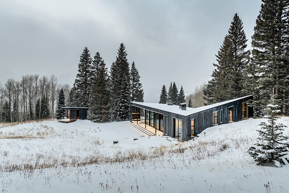 DNA Alpine