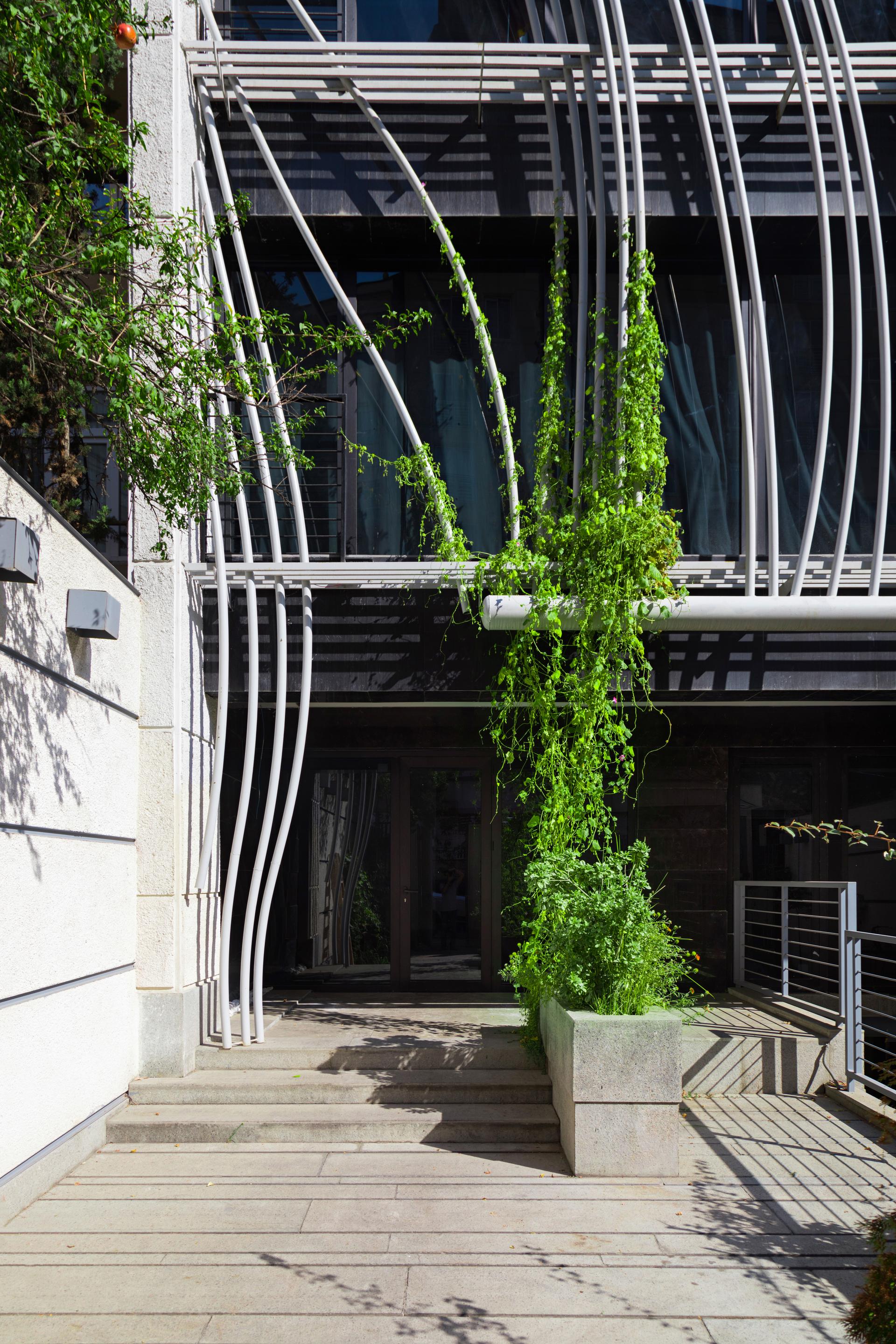STEM - image 6