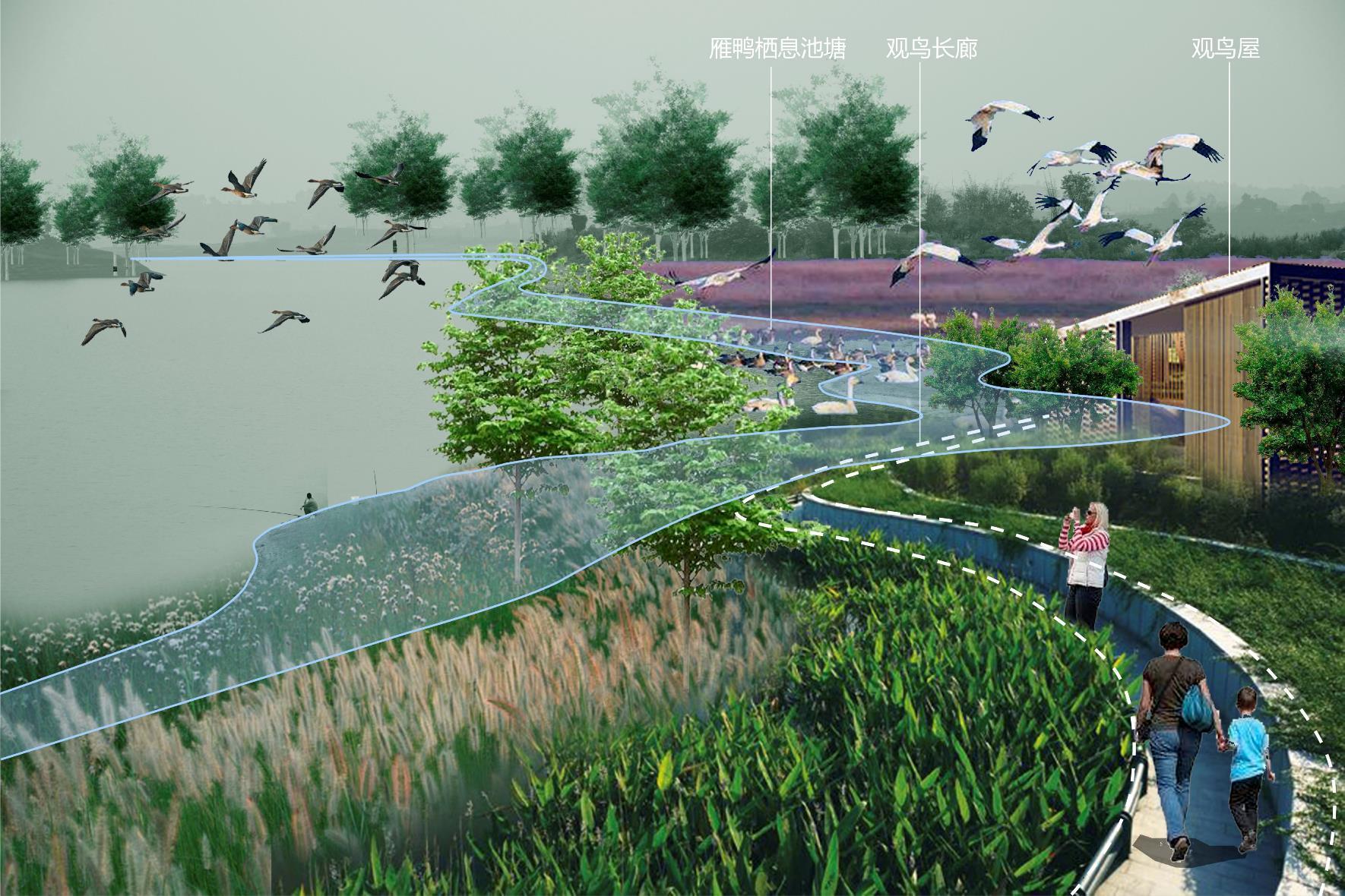 Heilongtan Reservoir Jinsha Island Biodiversity Planning and Birding Design - image 7