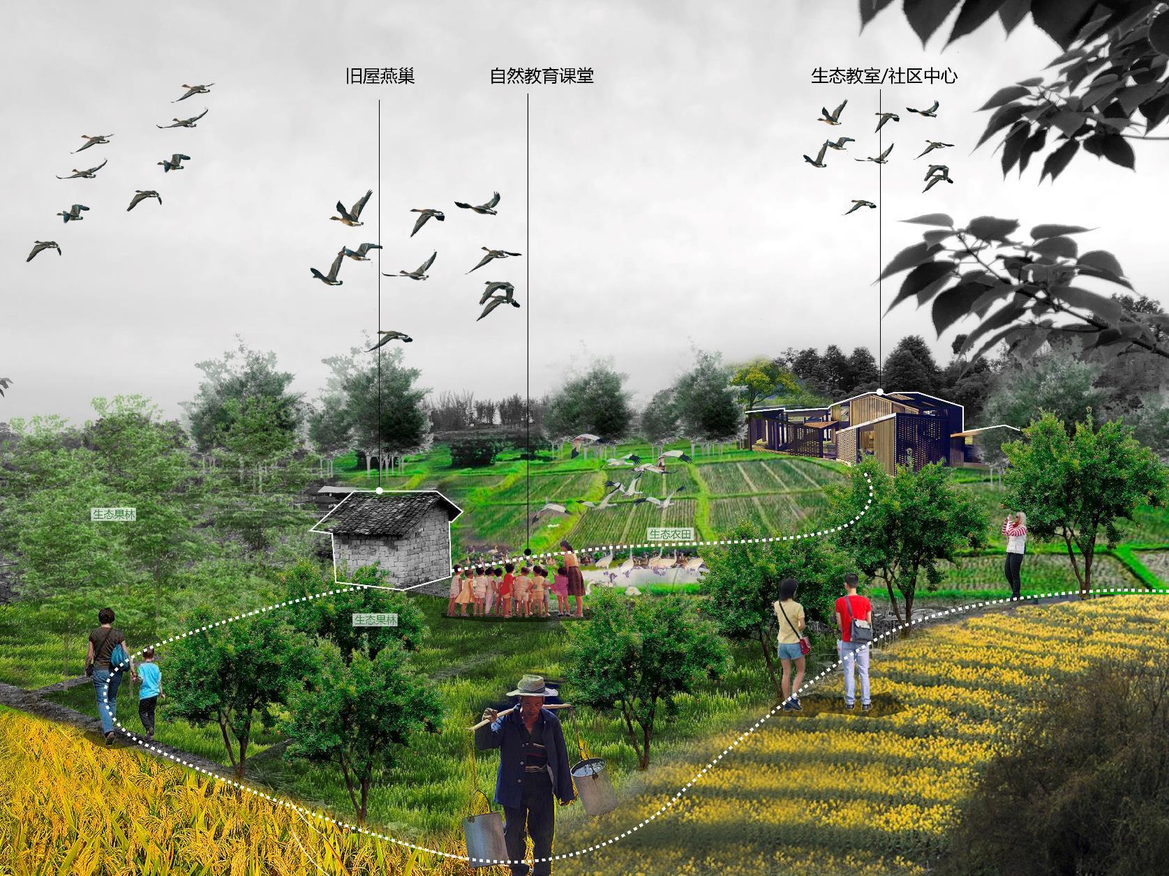 Heilongtan Reservoir Jinsha Island Biodiversity Planning and Birding Design - image 8
