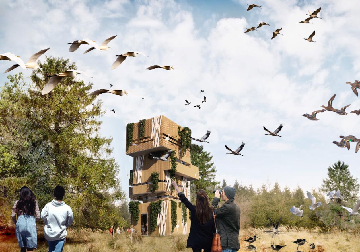 Heilongtan Reservoir Jinsha Island Biodiversity Planning and Birding Design - image 12
