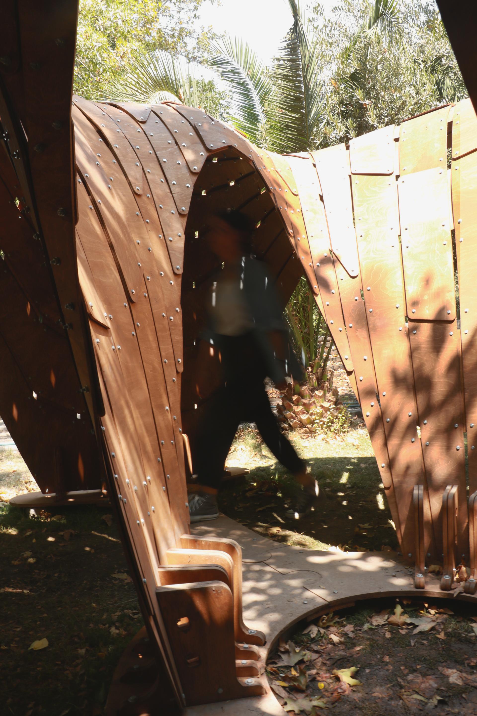 Cavilion - image 3