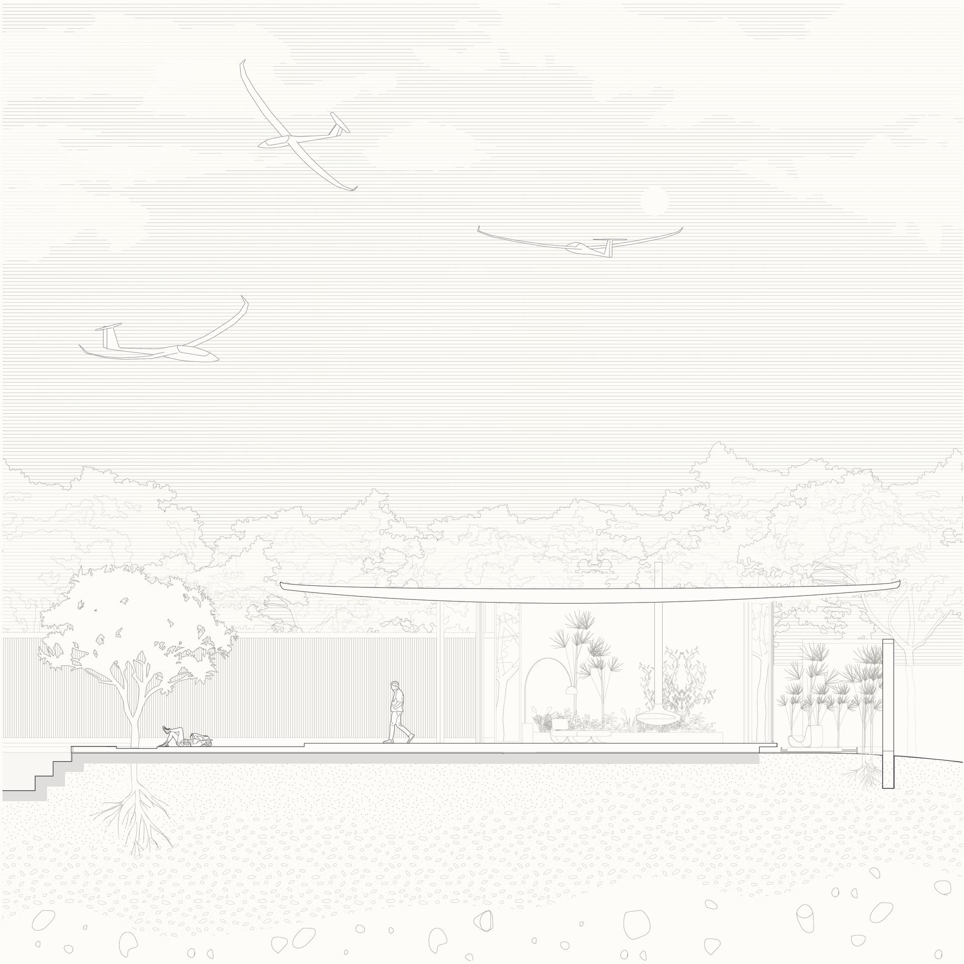 Aviator's House - image 14