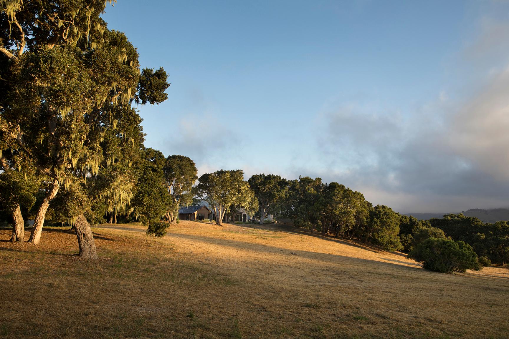 Diamond Mountain - image 6