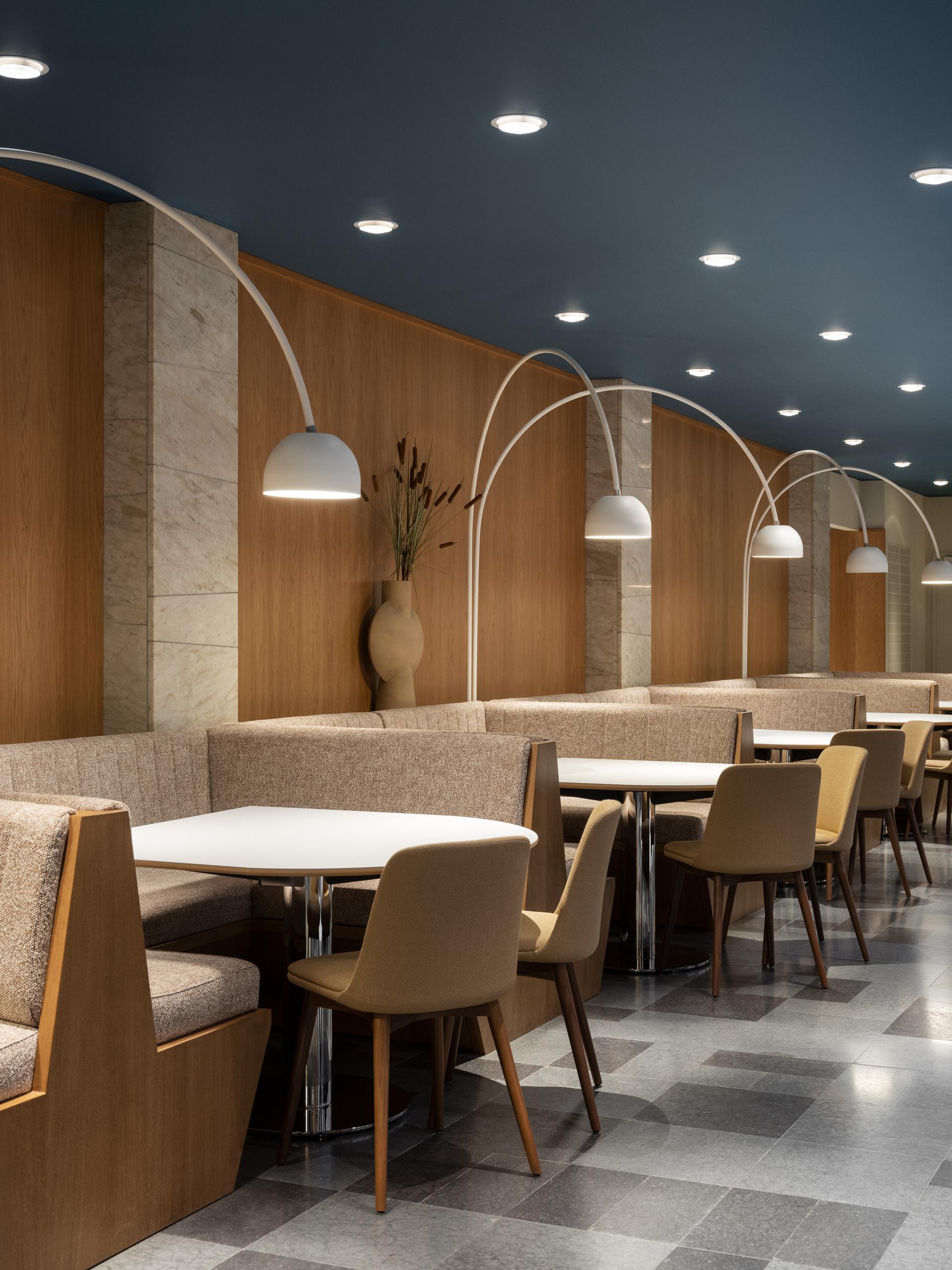 Arena Skrapan, Interior design project. - image 9