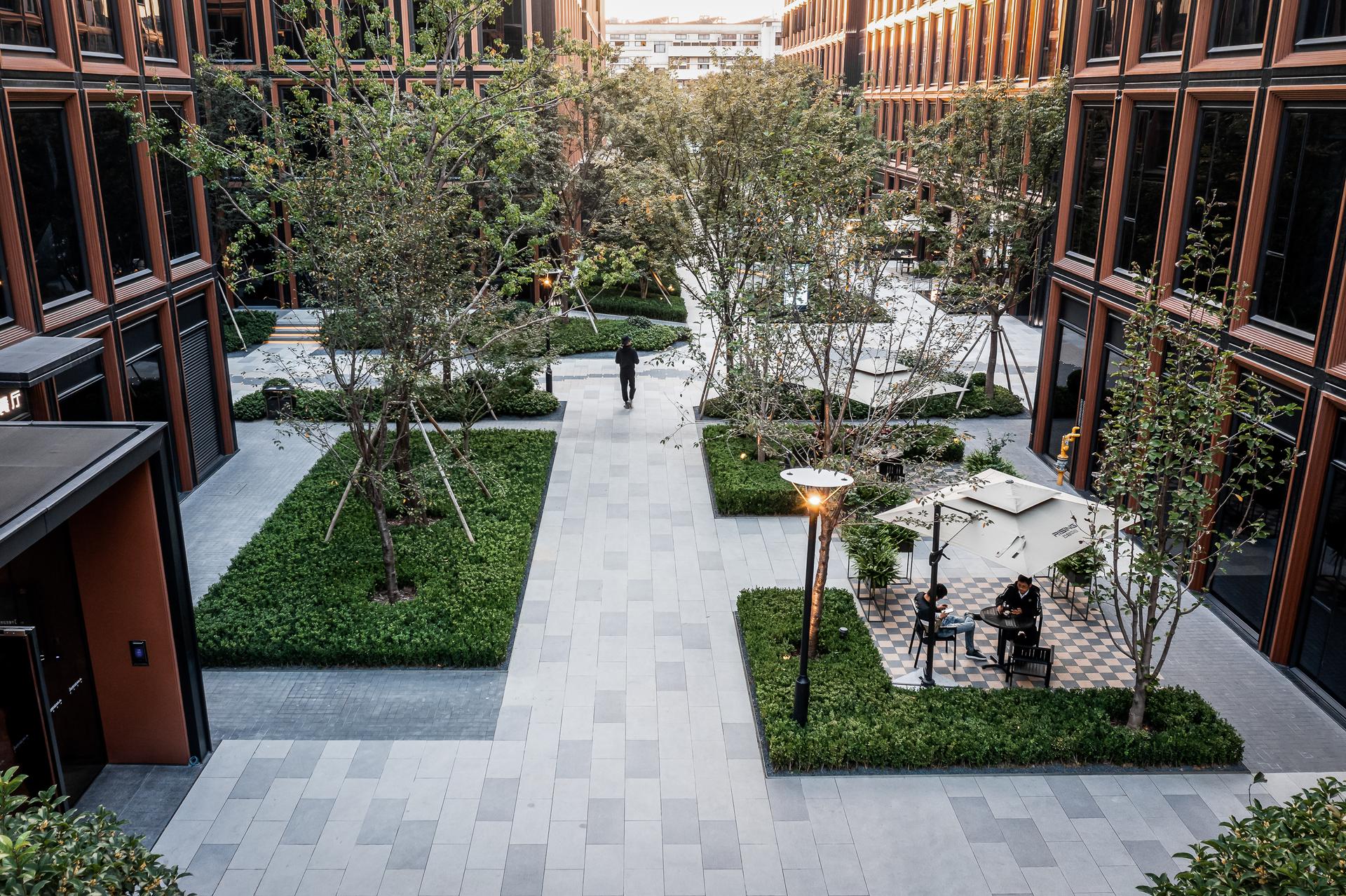 RISING Center: A complex interweaving with elegant and the wetlands context - image 2