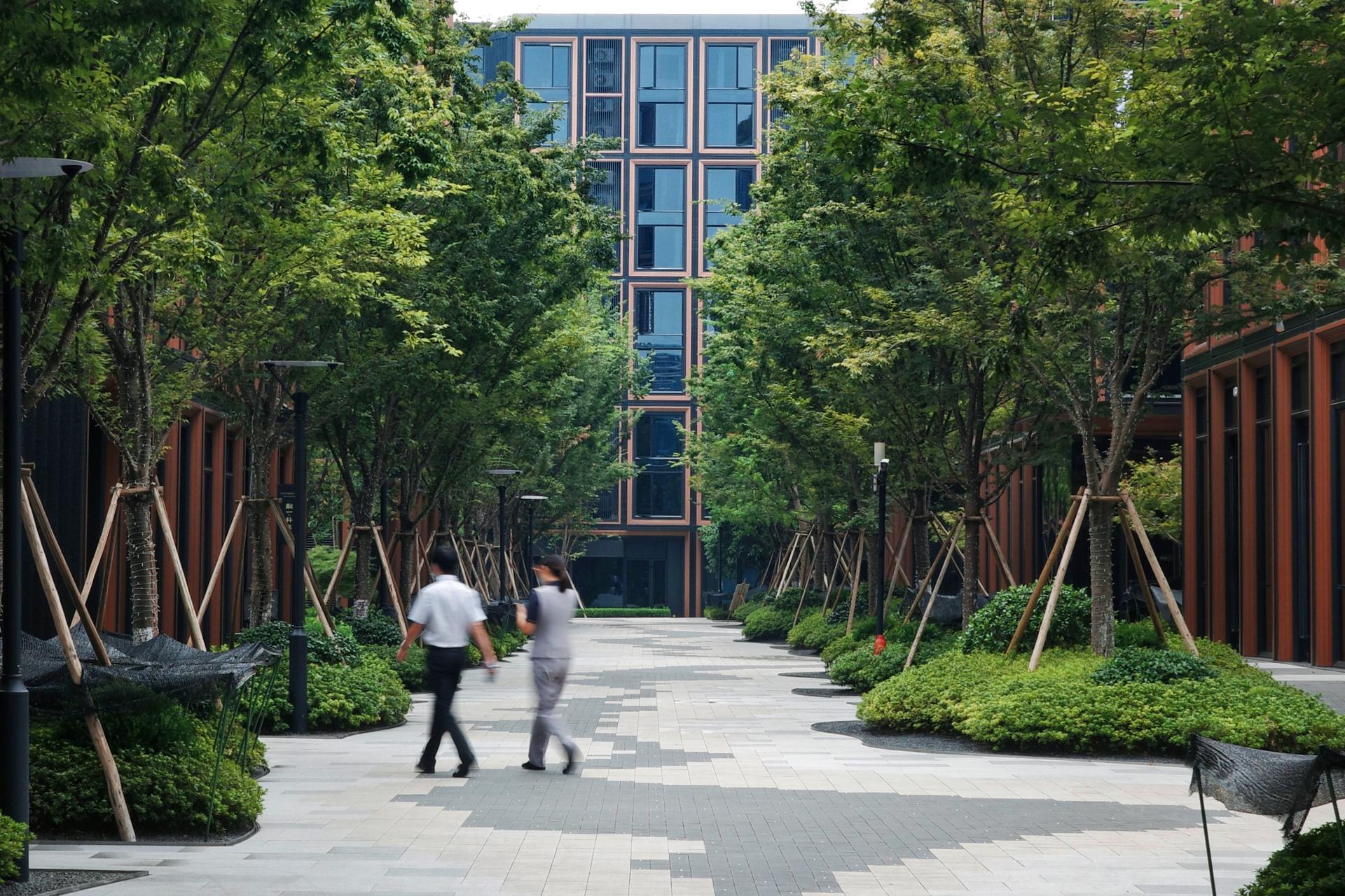 RISING Center: A complex interweaving with elegant and the wetlands context - image 31