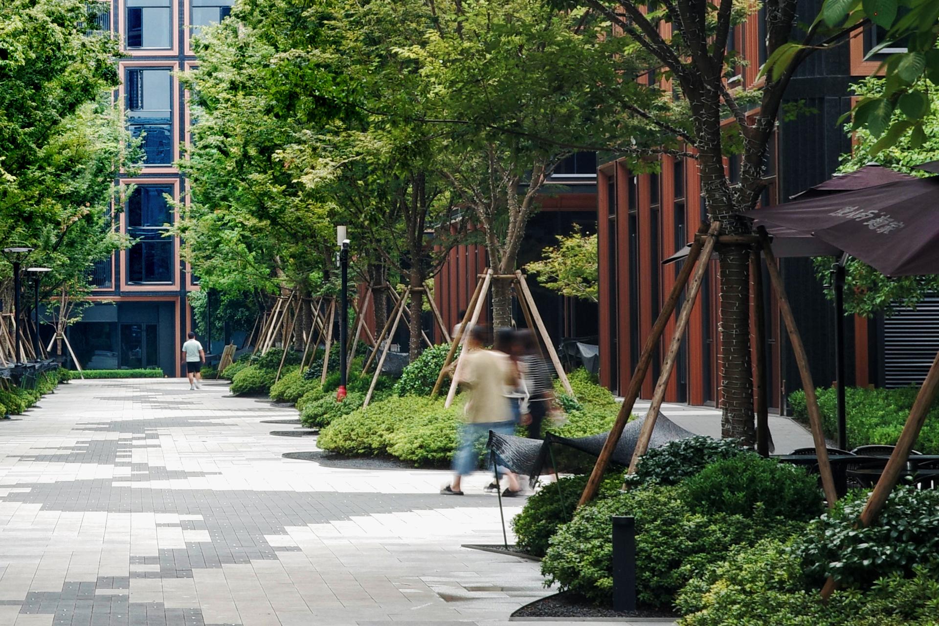 RISING Center: A complex interweaving with elegant and the wetlands context - image 32