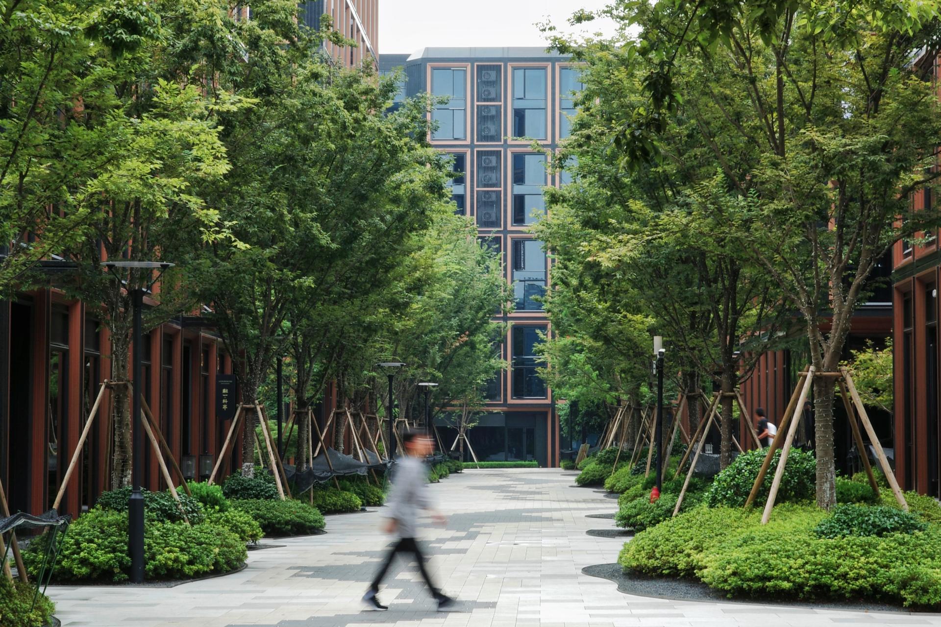 RISING Center: A complex interweaving with elegant and the wetlands context - image 34