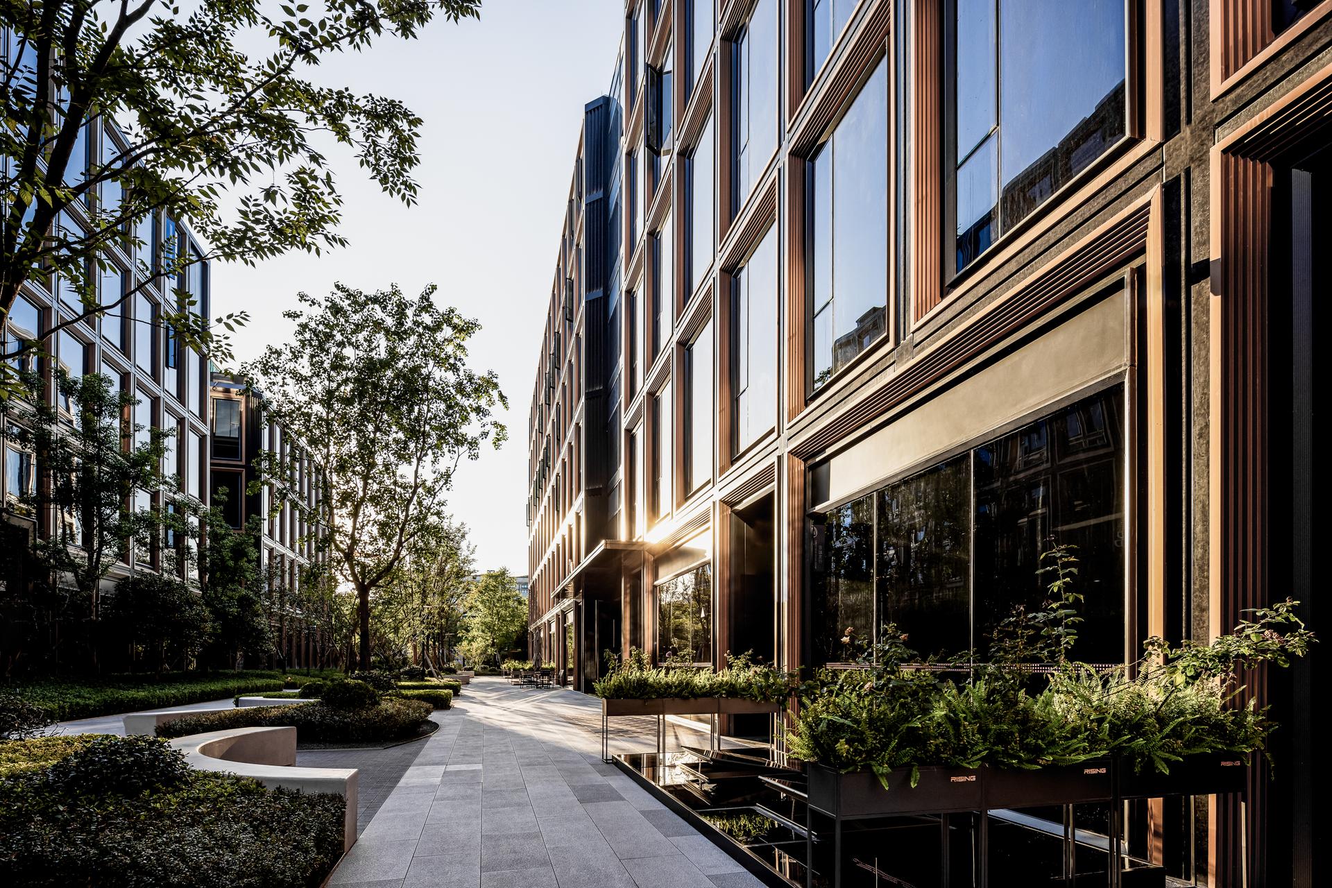 RISING Center: A complex interweaving with elegant and the wetlands context - image 3
