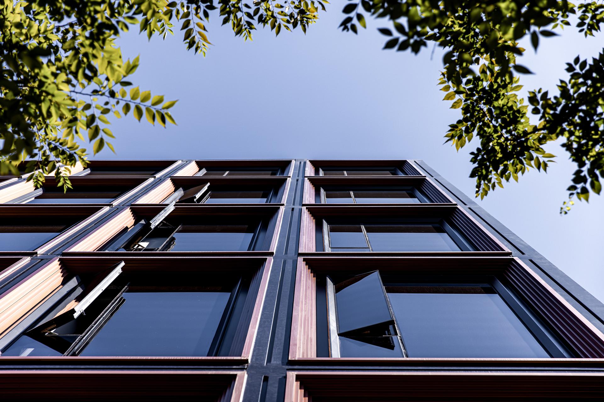RISING Center: A complex interweaving with elegant and the wetlands context - image 23