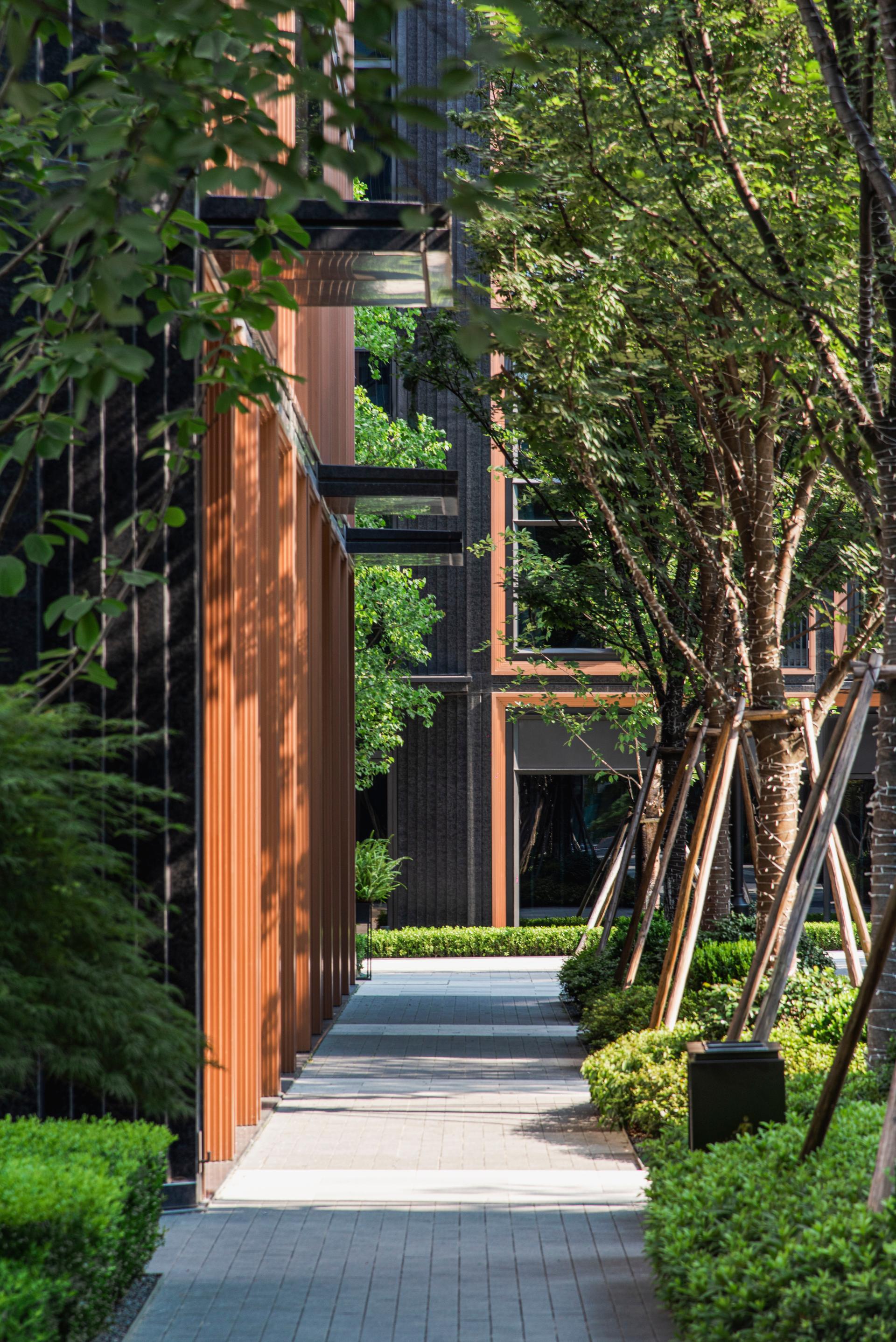 RISING Center: A complex interweaving with elegant and the wetlands context - image 25