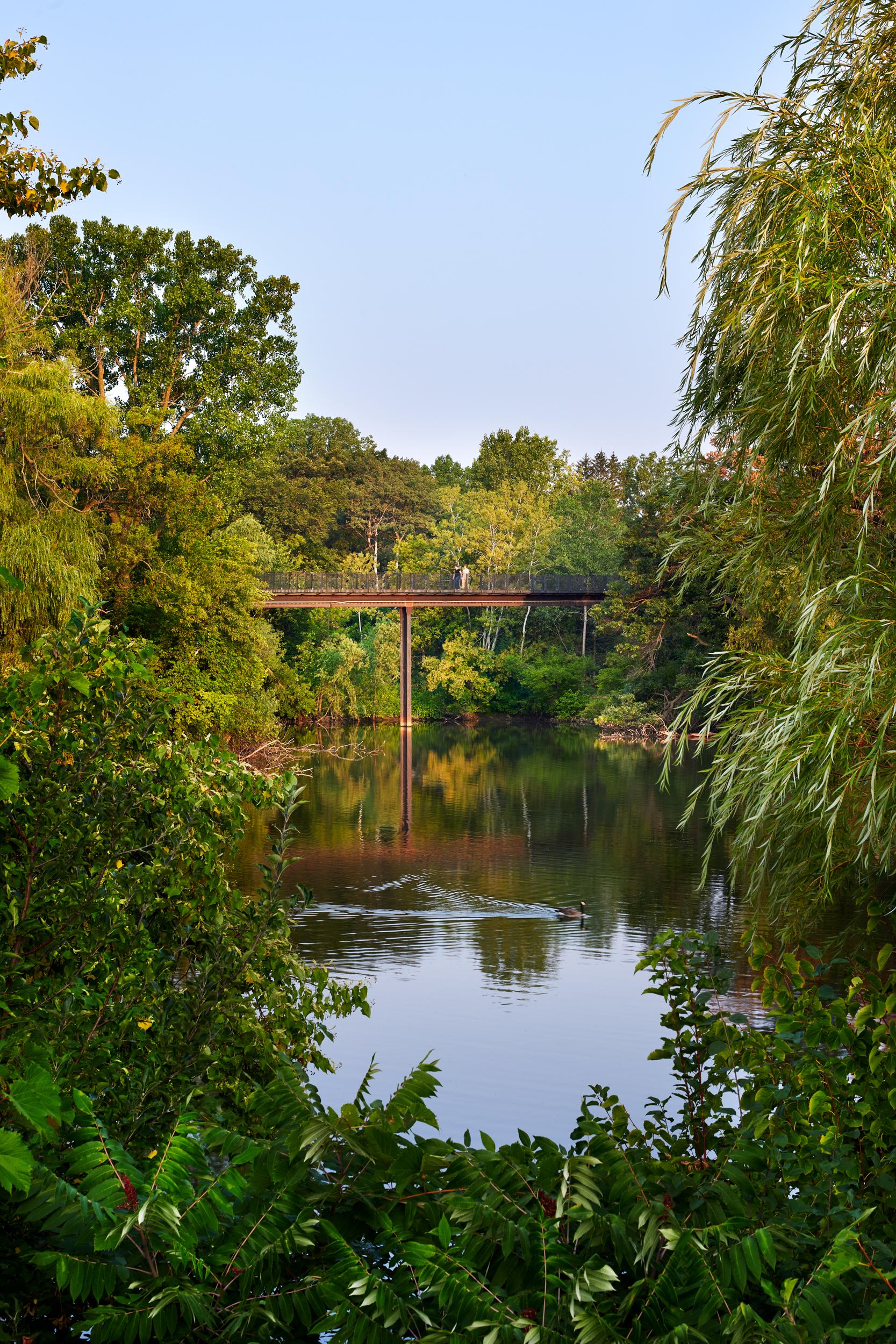 Treetop Trail at the Minnesota Zoo - image 9