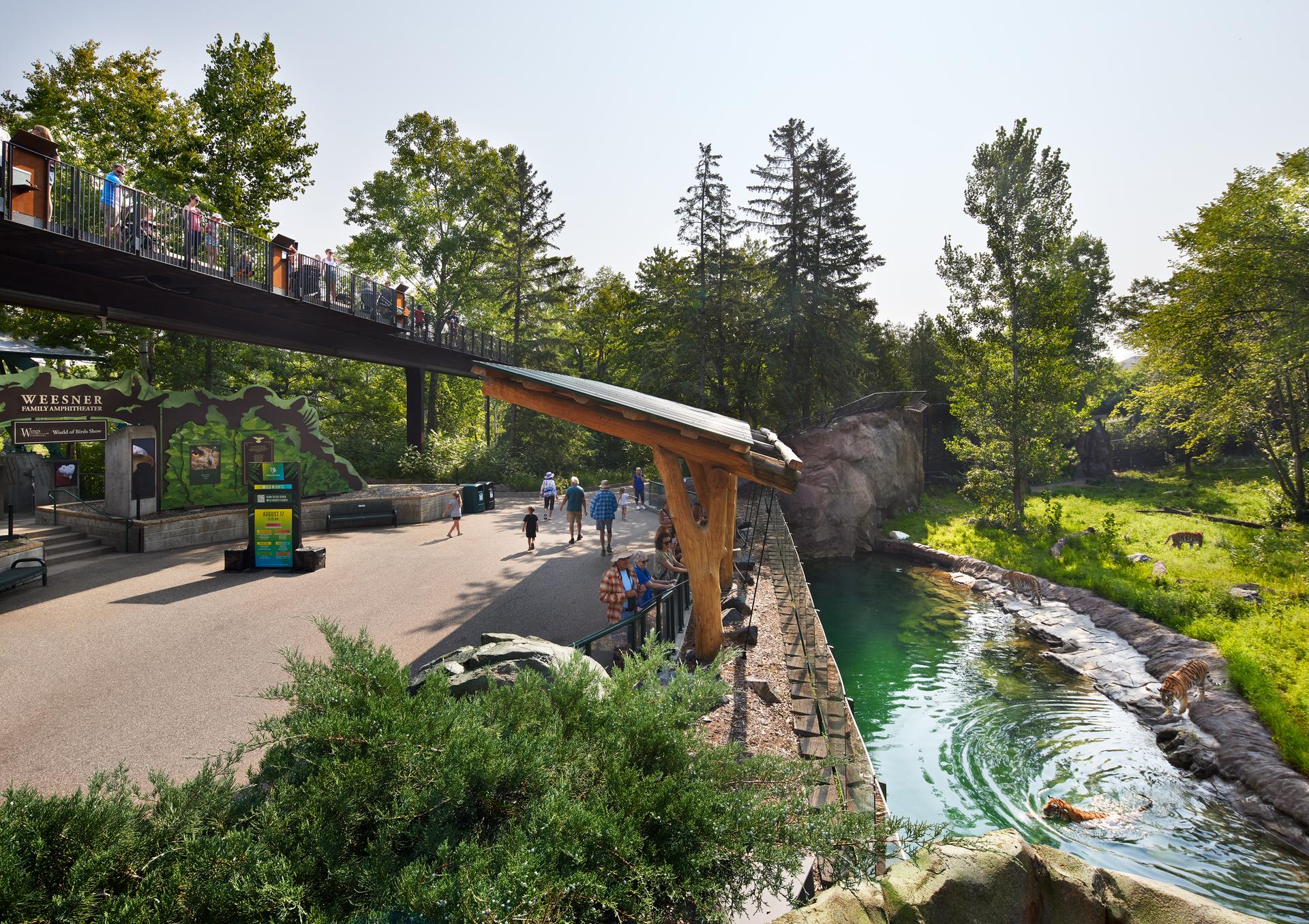 Treetop Trail at the Minnesota Zoo - image 10